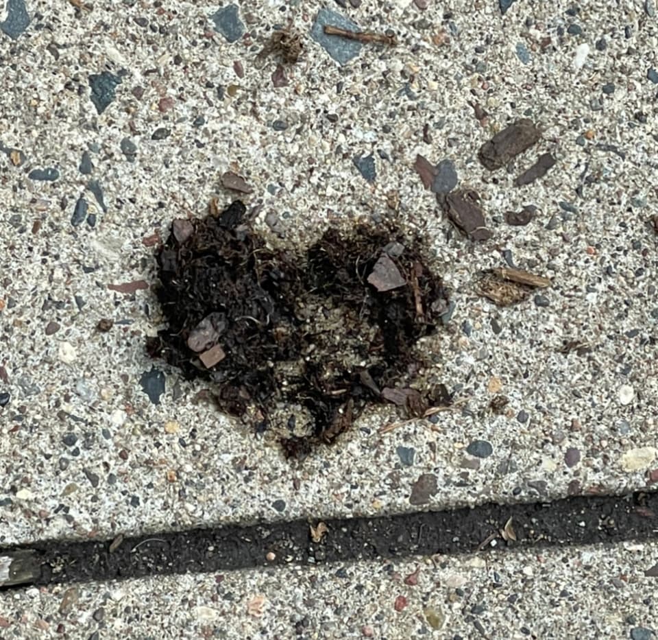 Hearts everywhere I look