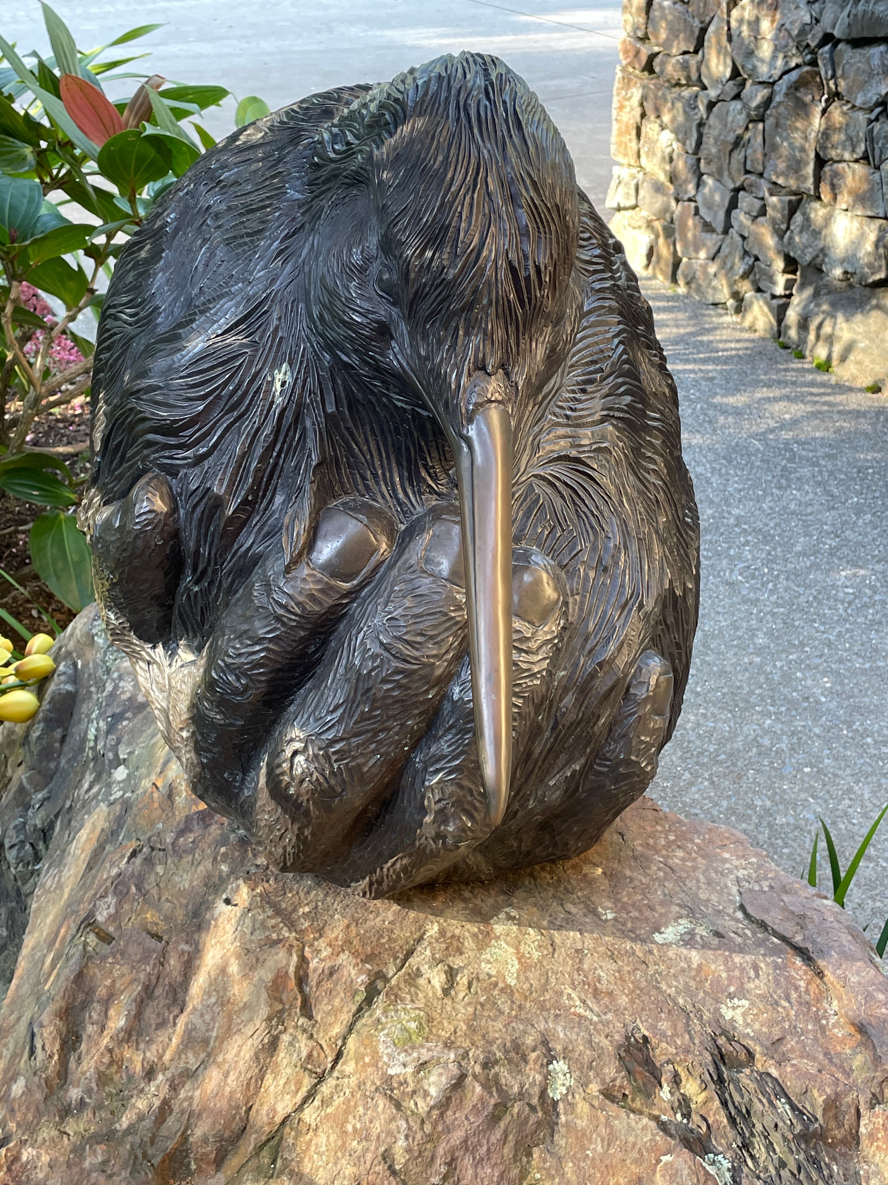 Hand Holding Young Kiwi