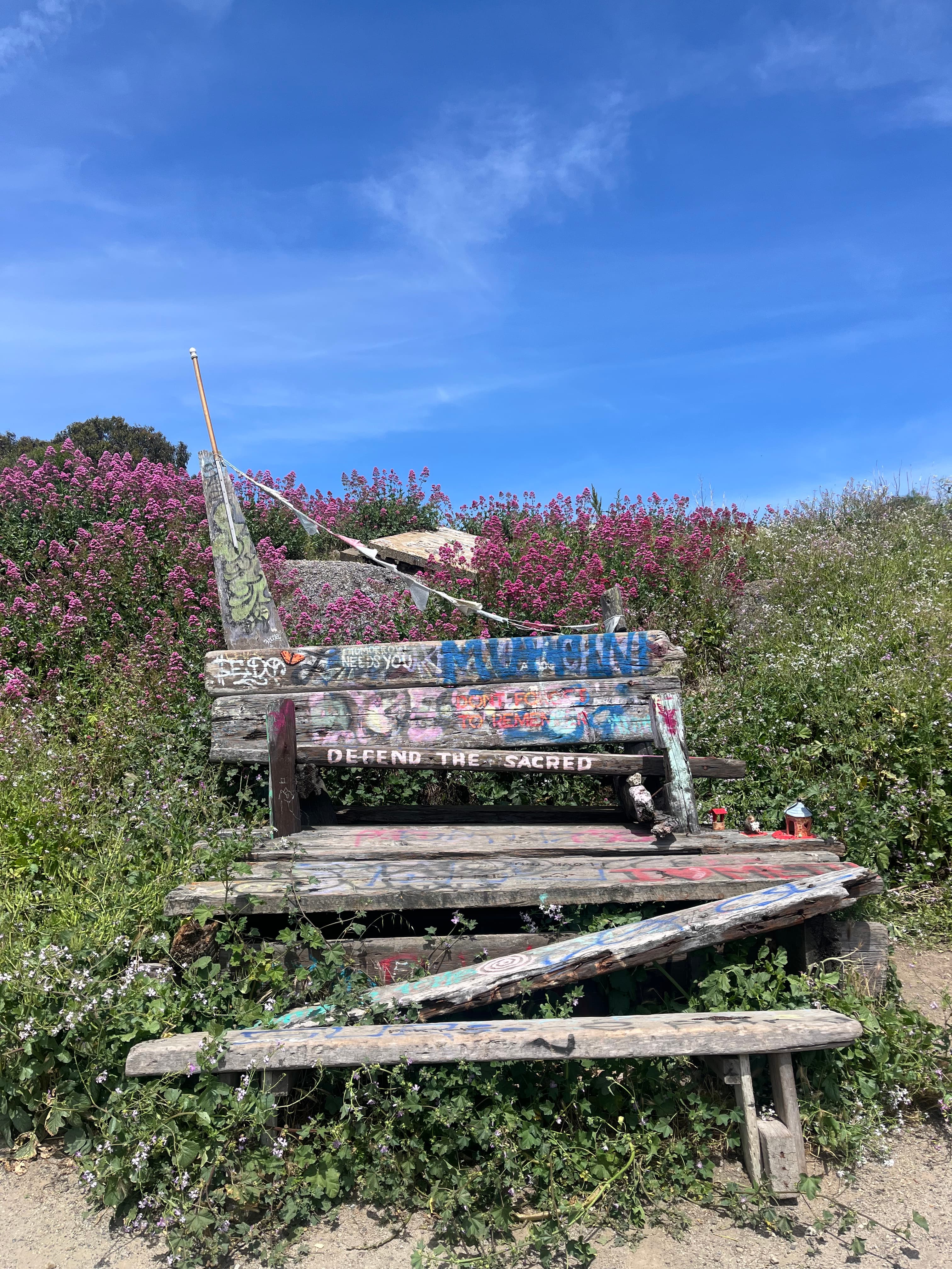 Bench at Albany Beach in Berkeley