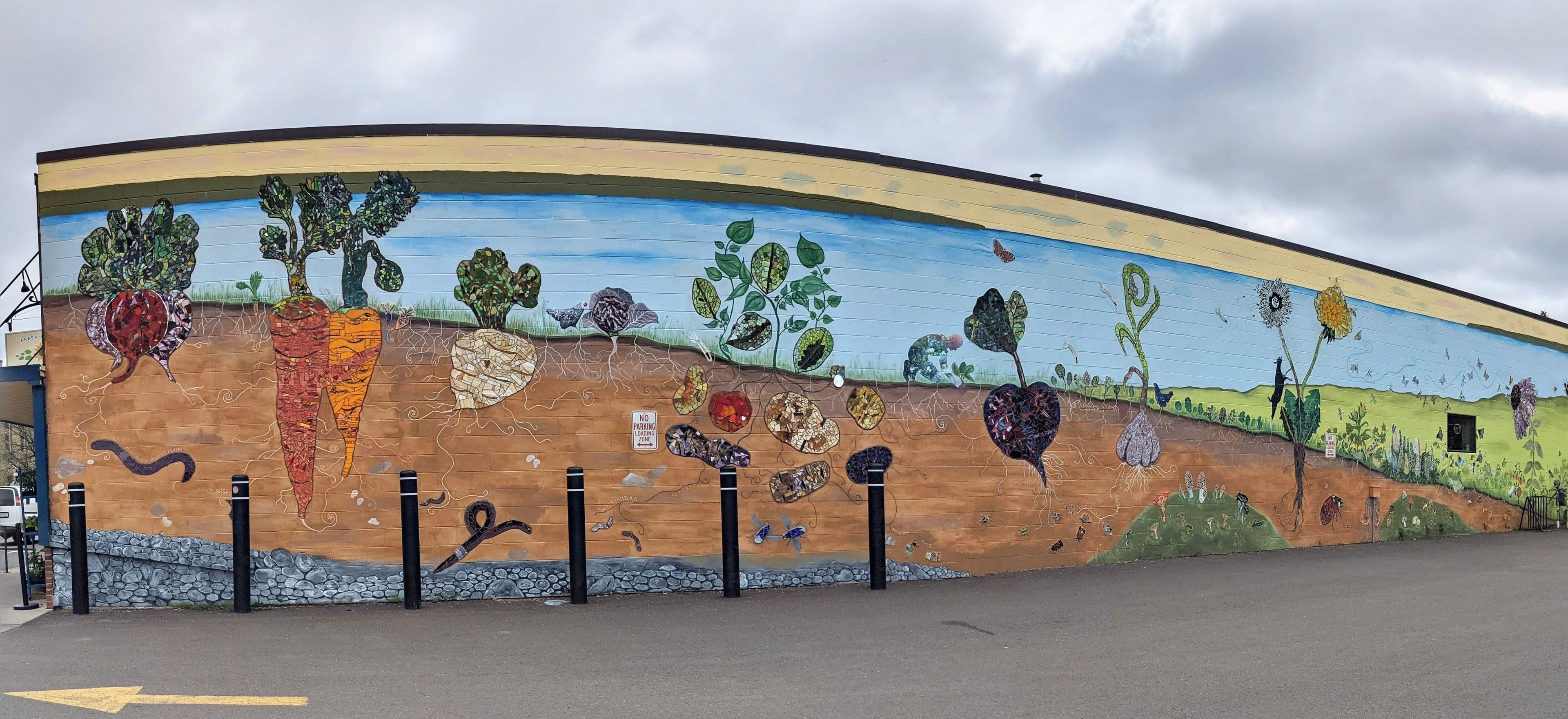 Co-op Community Mural Mosaic Project