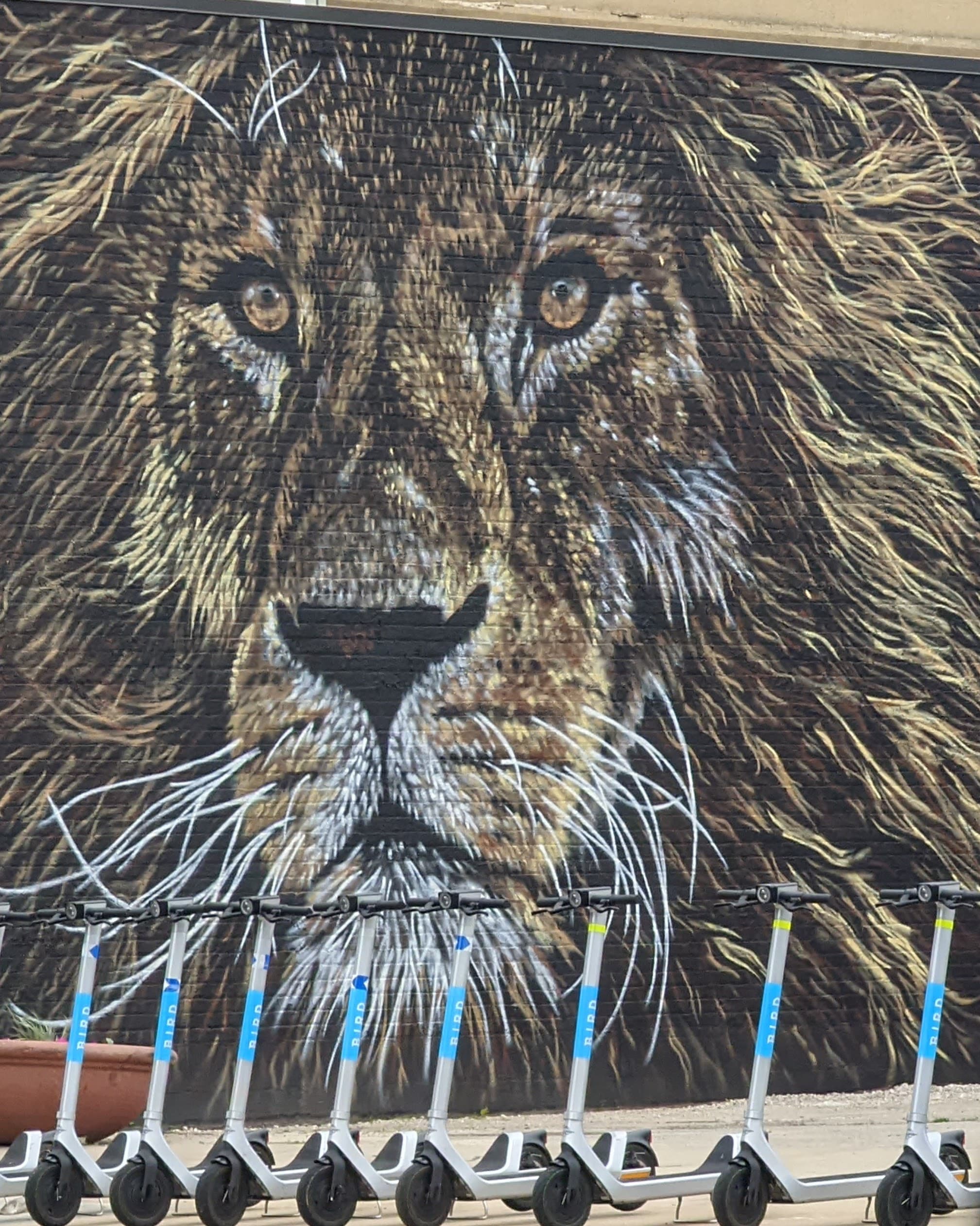 The Lion Mural