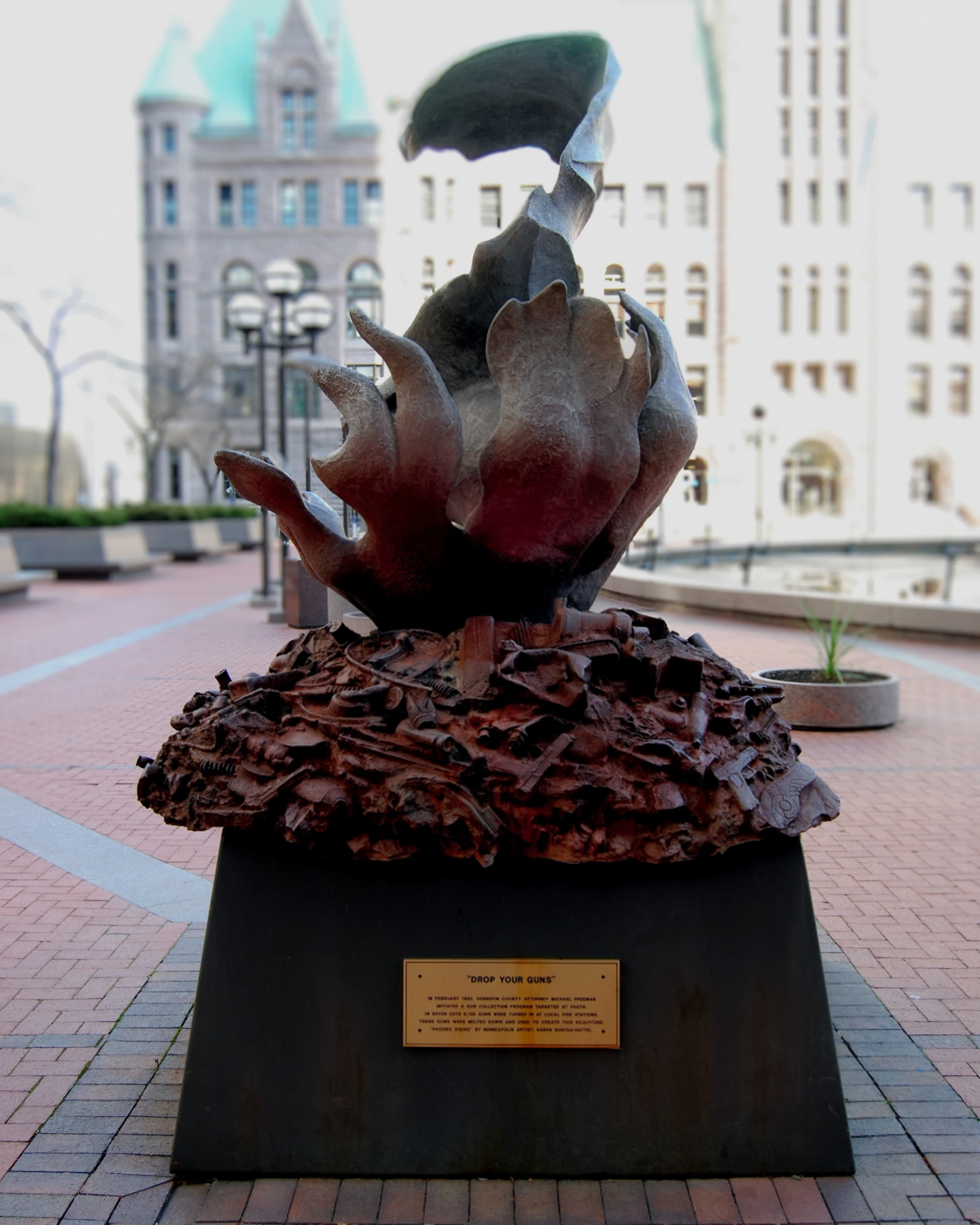Phoenix Rising