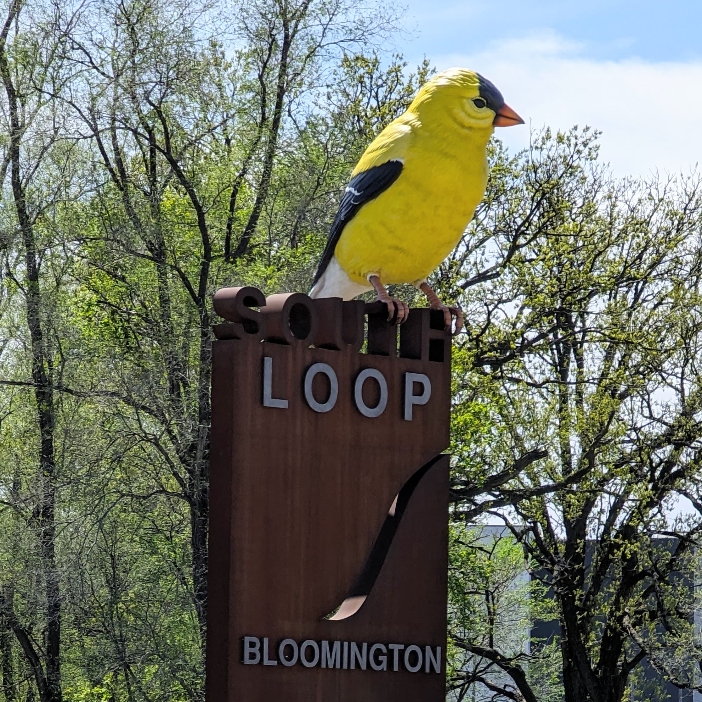 The Goldfinch