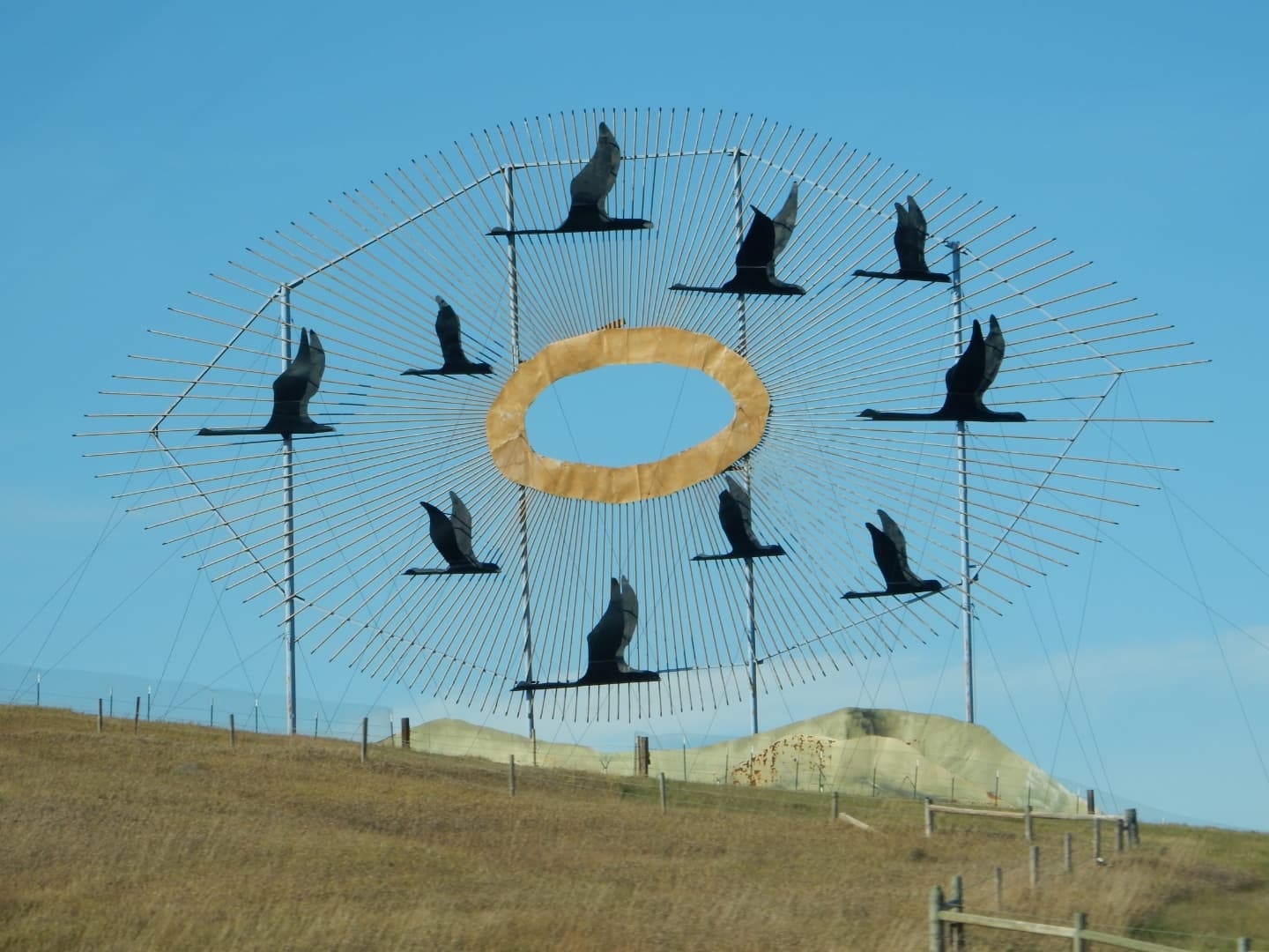 Geese in Flight