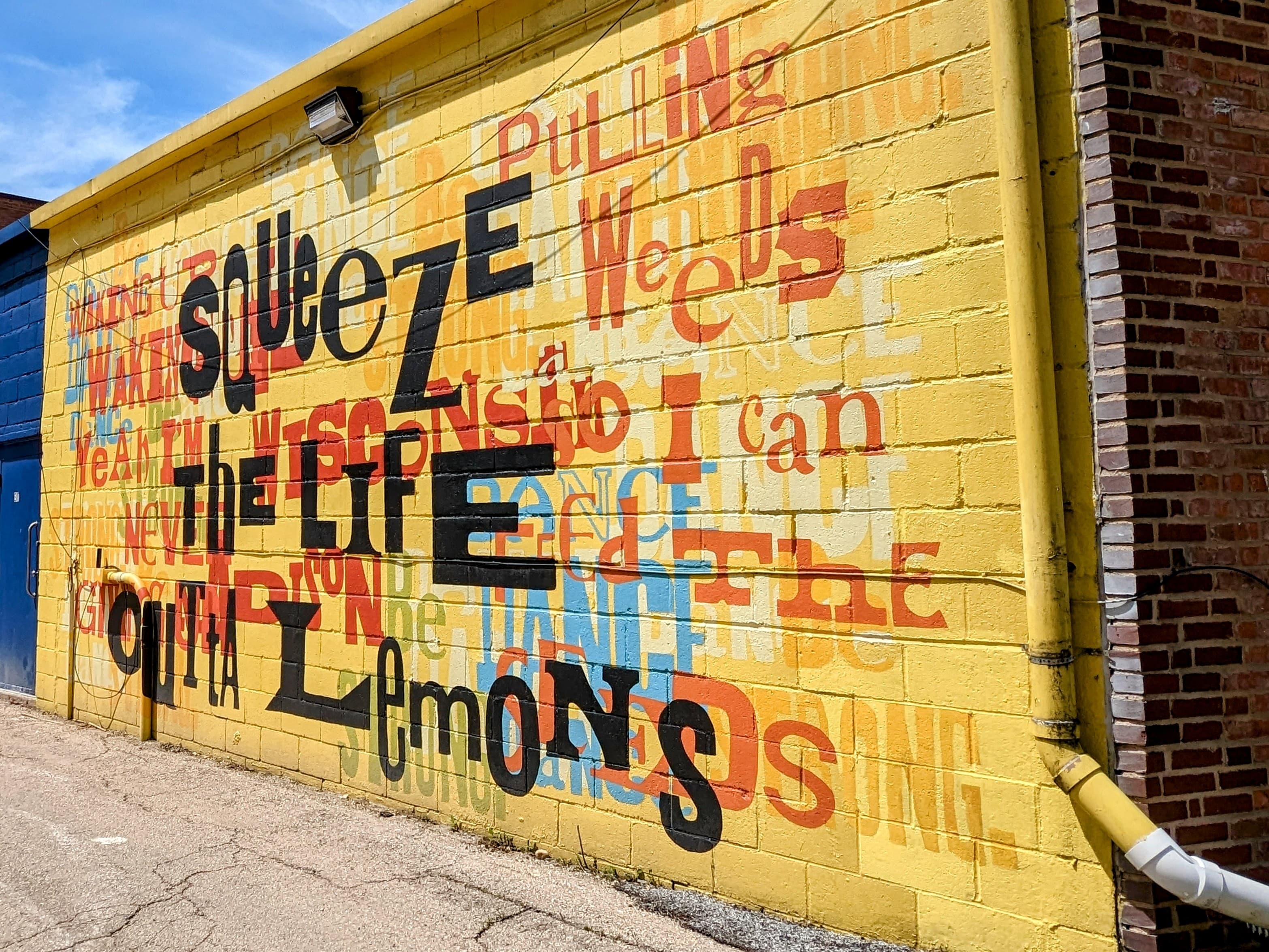 Squeeze the Life Outta Lemons