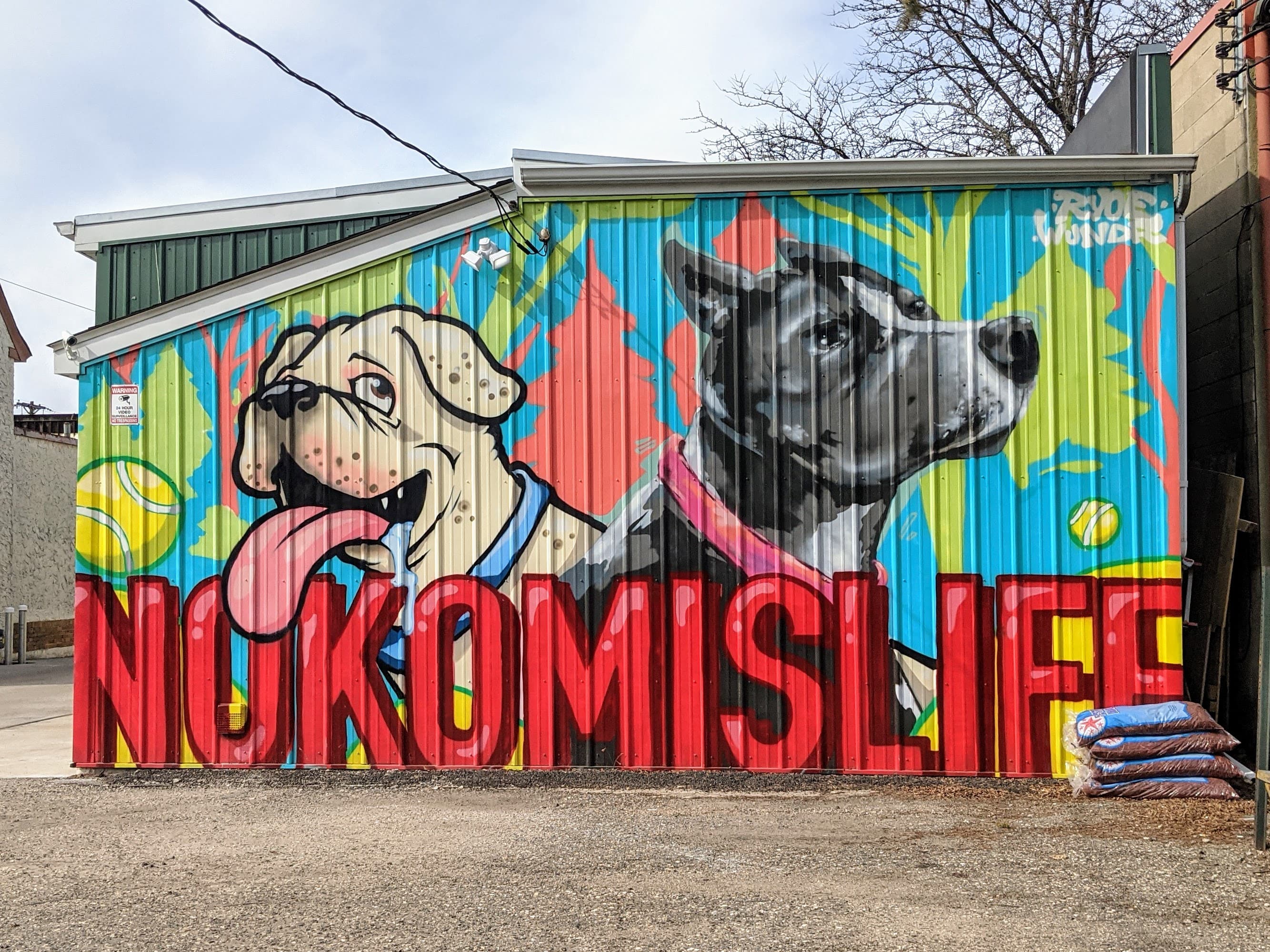 Nokomis Life mural