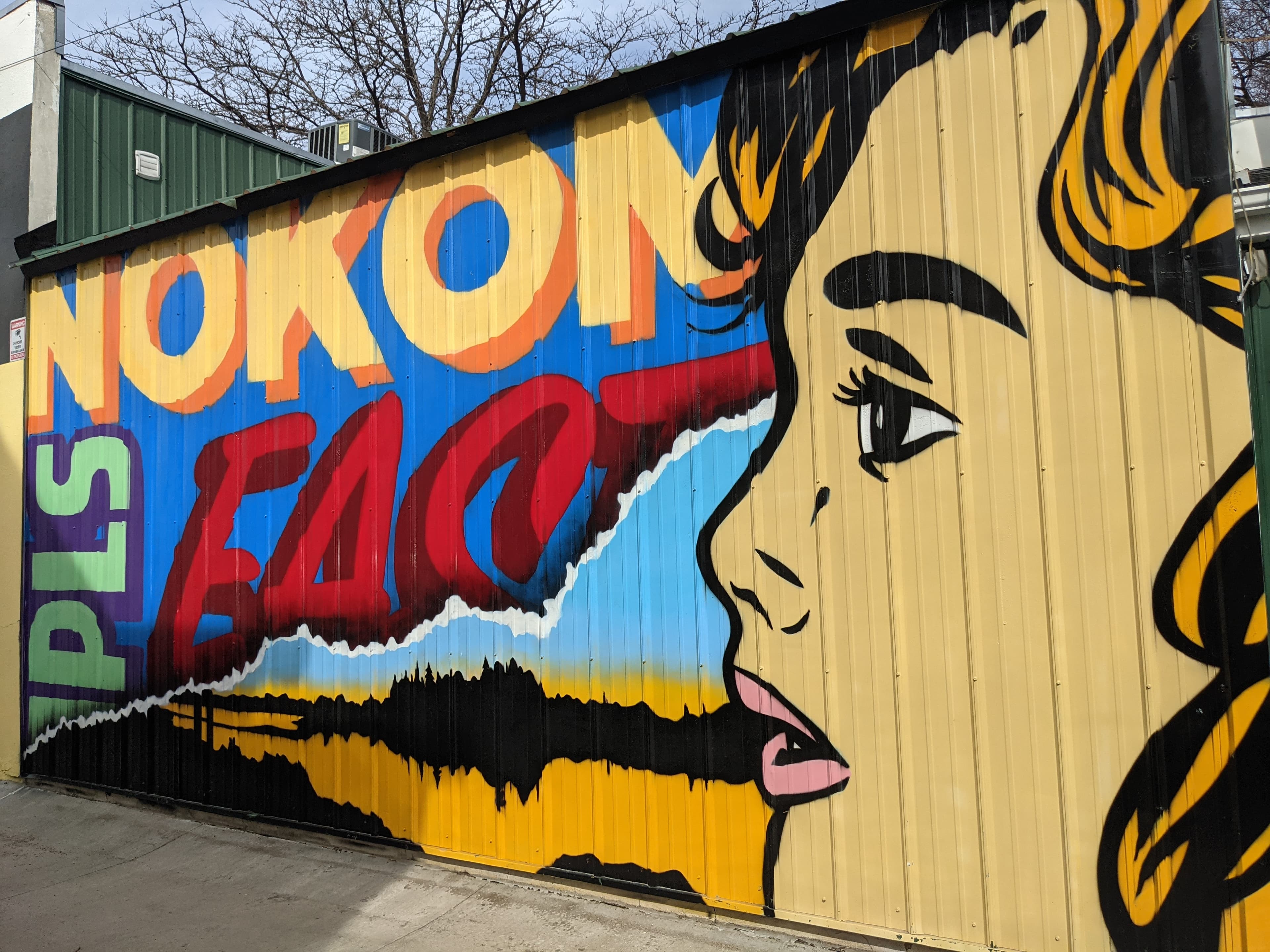 Nokomis East mural