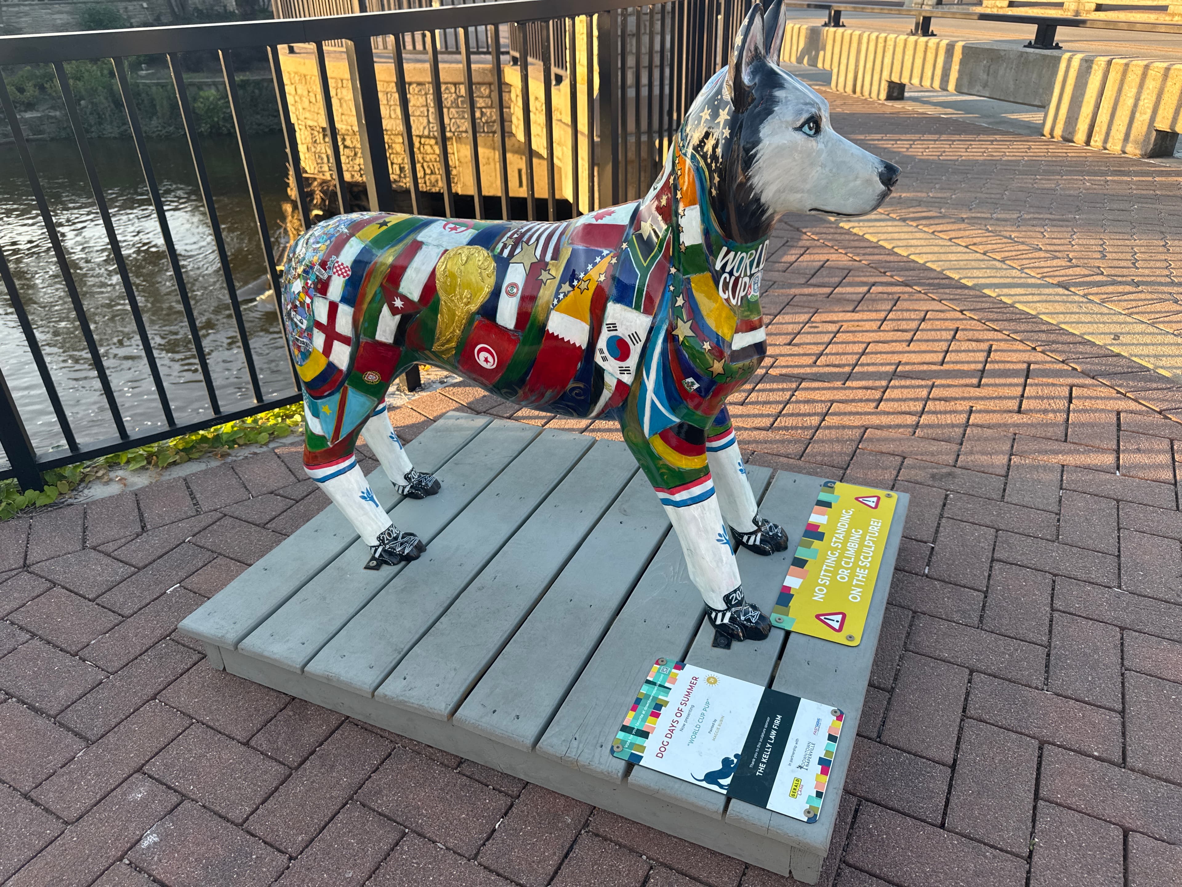 World Cup Pup
