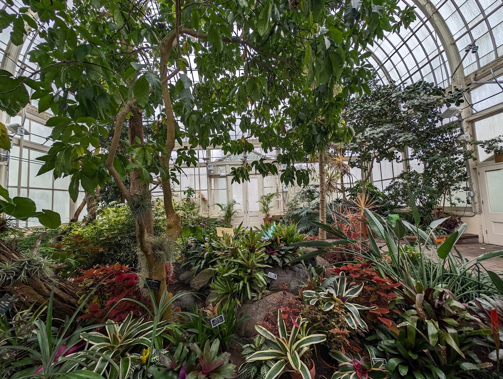 South Park Arboretum