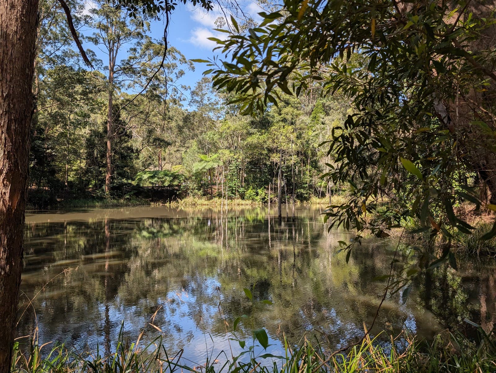 Maroochy Regional Bushland Botanic Garden