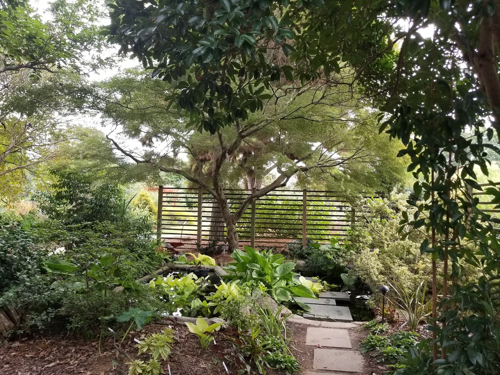 JC Raulston Arboretum