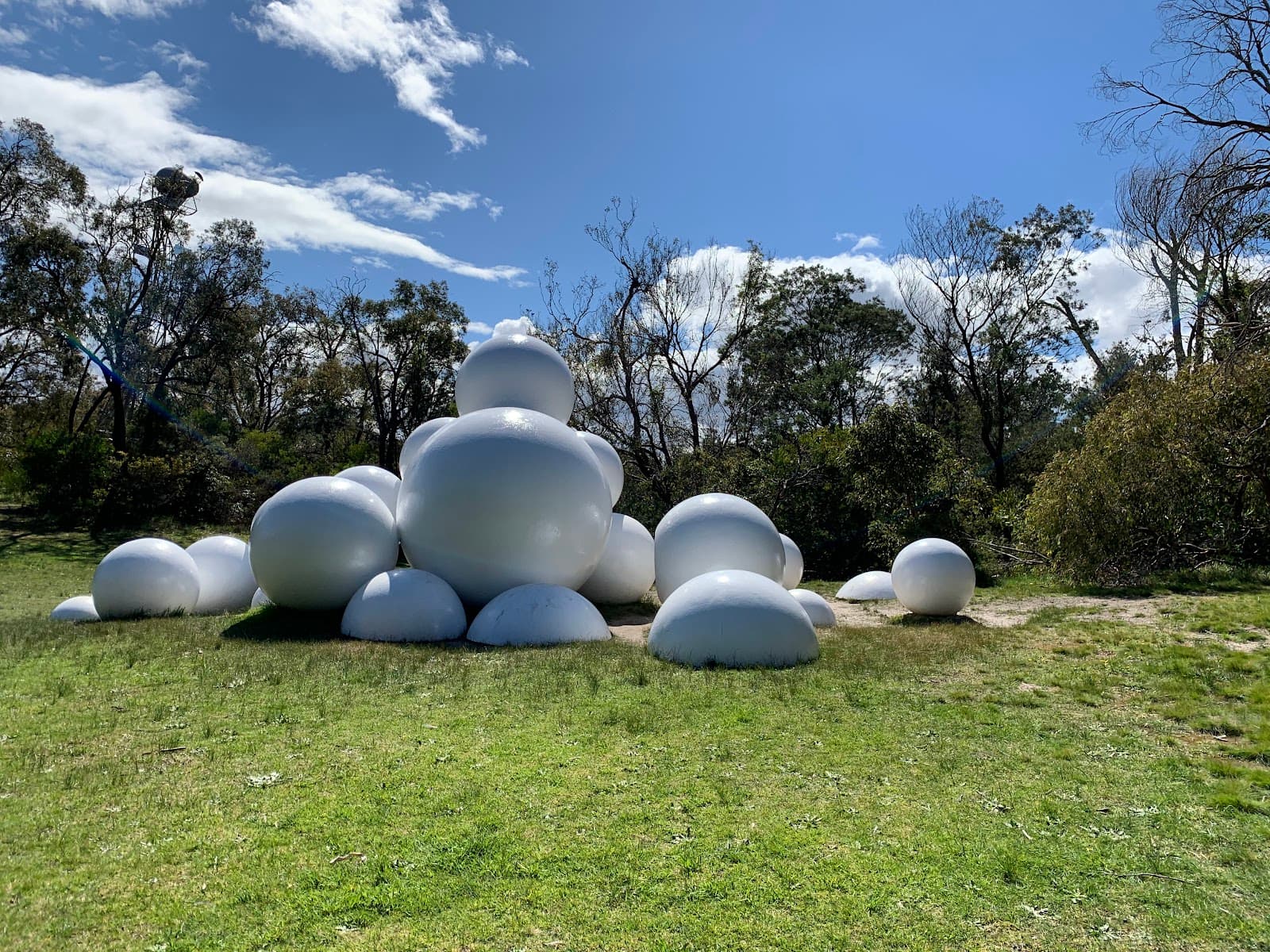 McClelland Sculpture Park and Gallery