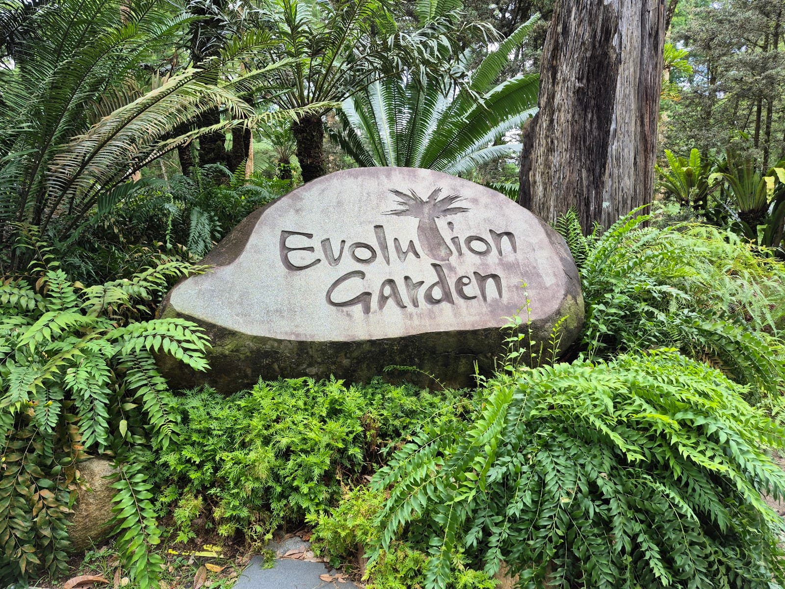 Evolution Garden