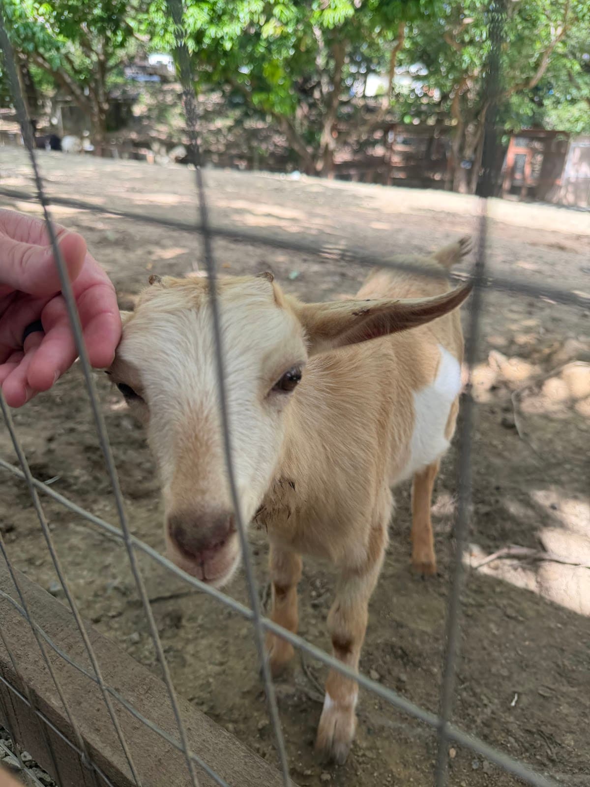 La Hacienda del Cielo