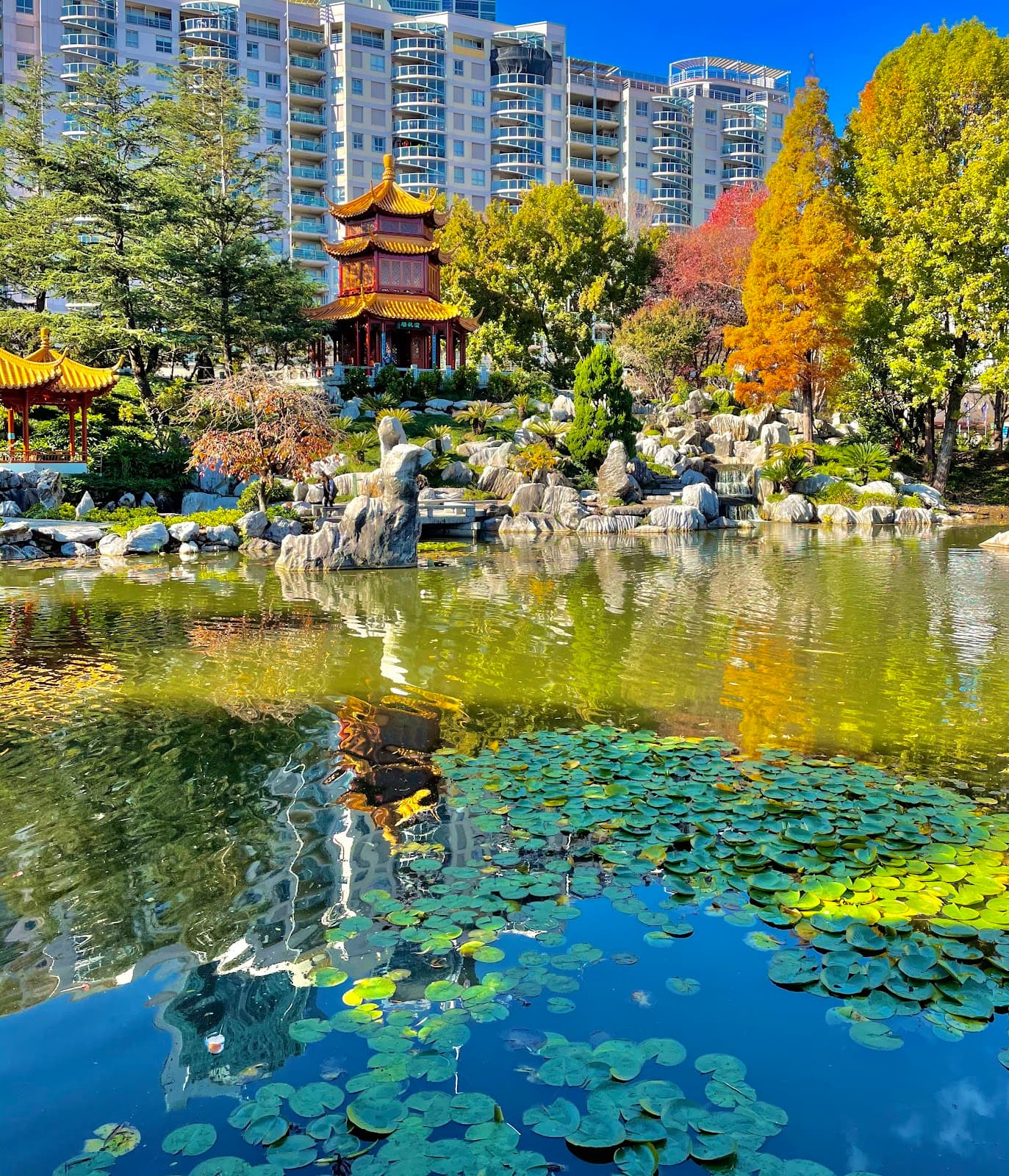 Chinese Garden of Friendship