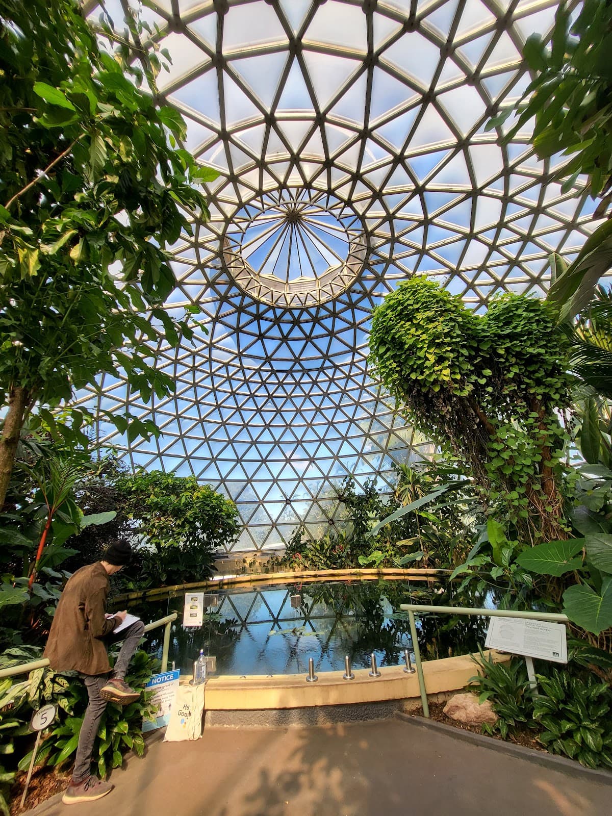 Brisbane Botanic Gardens Mt Coot-tha