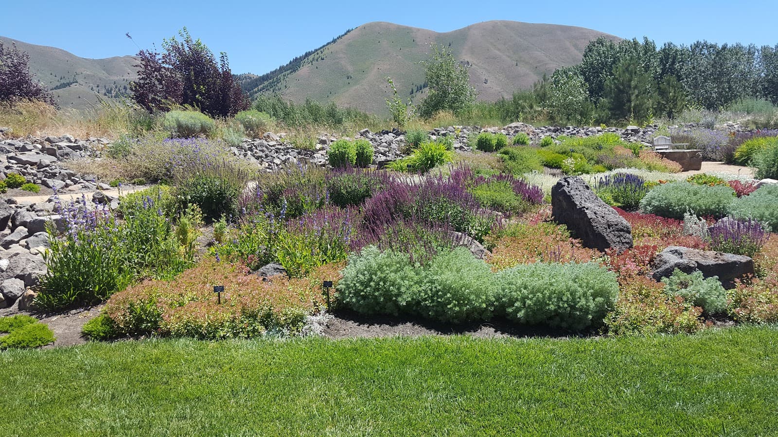 Sawtooth Botanical Garden