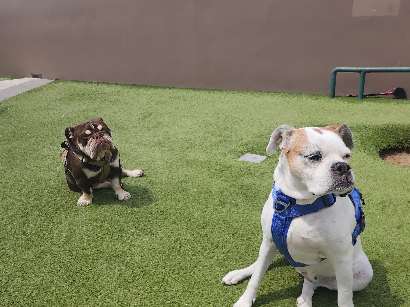 Public Art "Los Angeles Opens Its Heart of Compassion"