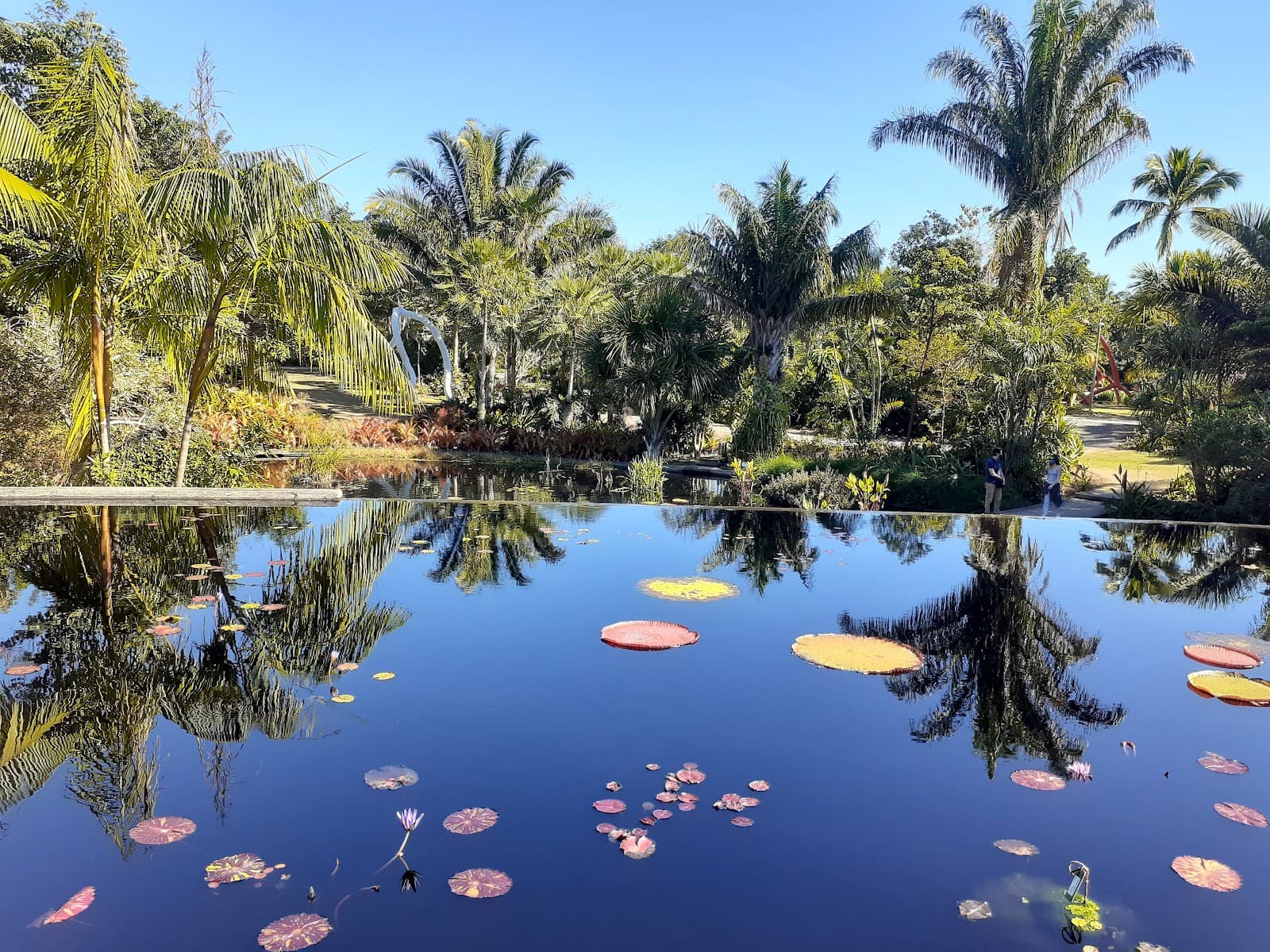 Naples Botanical Garden