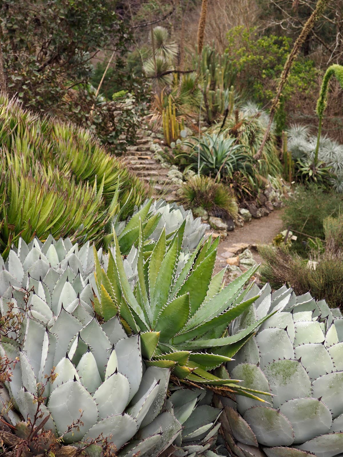 University of California Botanical Garden