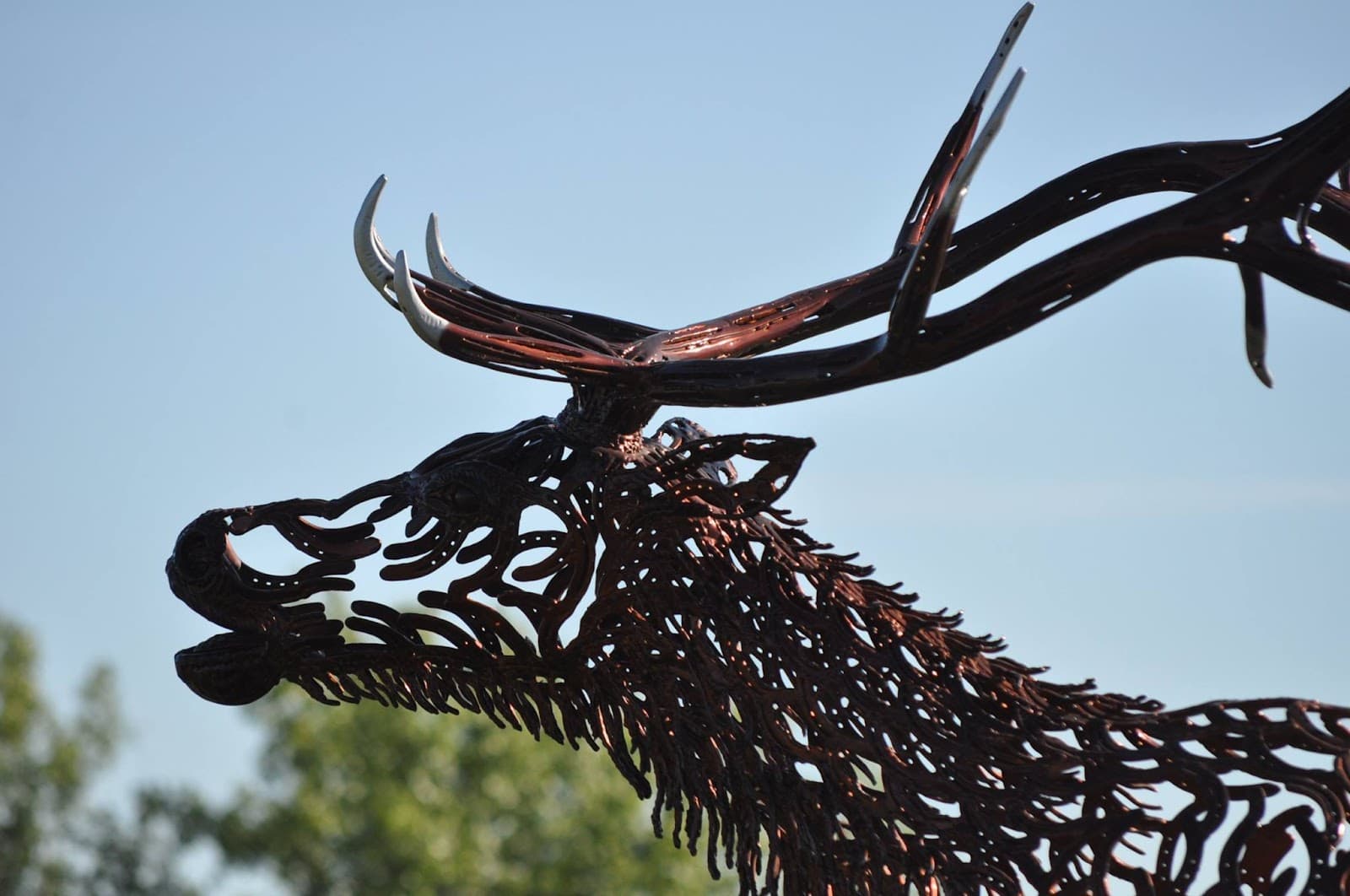 Grangeville Elk Horseshoe Sculpture