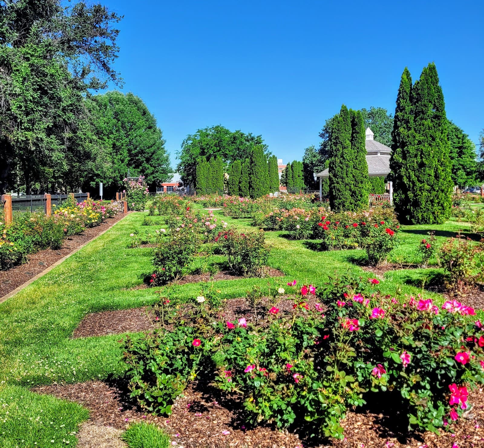 Boise Rose Garden