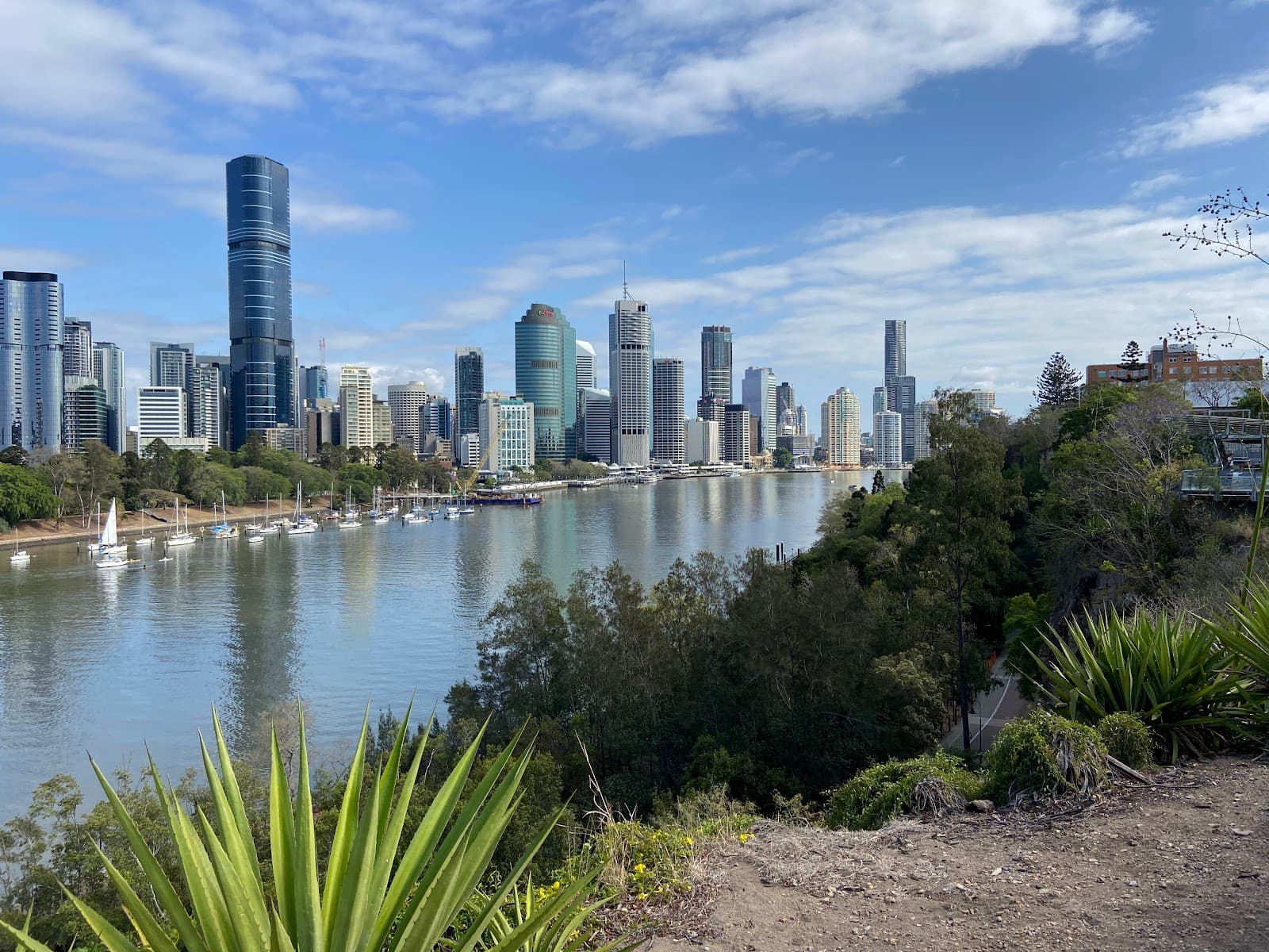 Kangaroo Point Cliffs Park (River Terrace Park)
