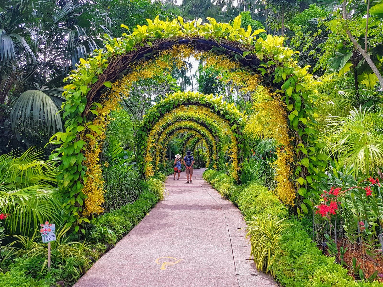 Singapore Botanic Gardens