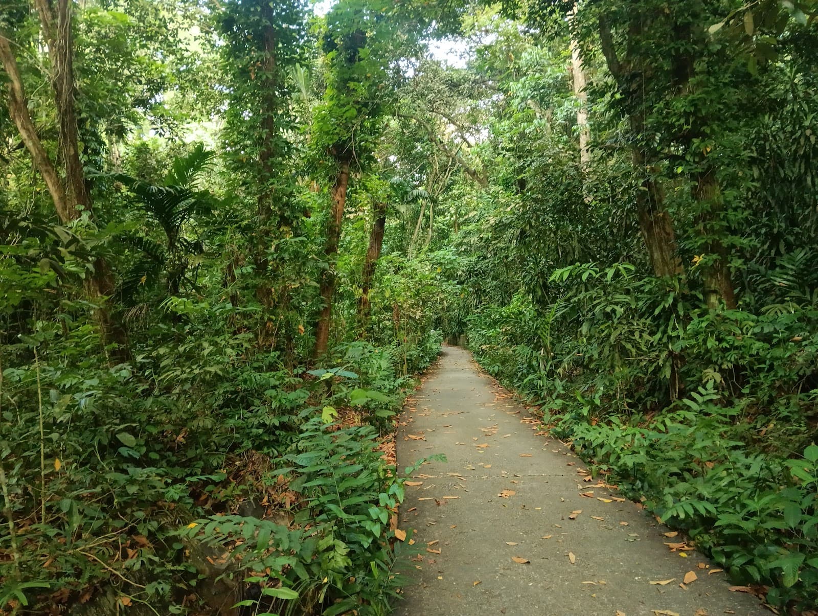 Rifle Range Nature Park