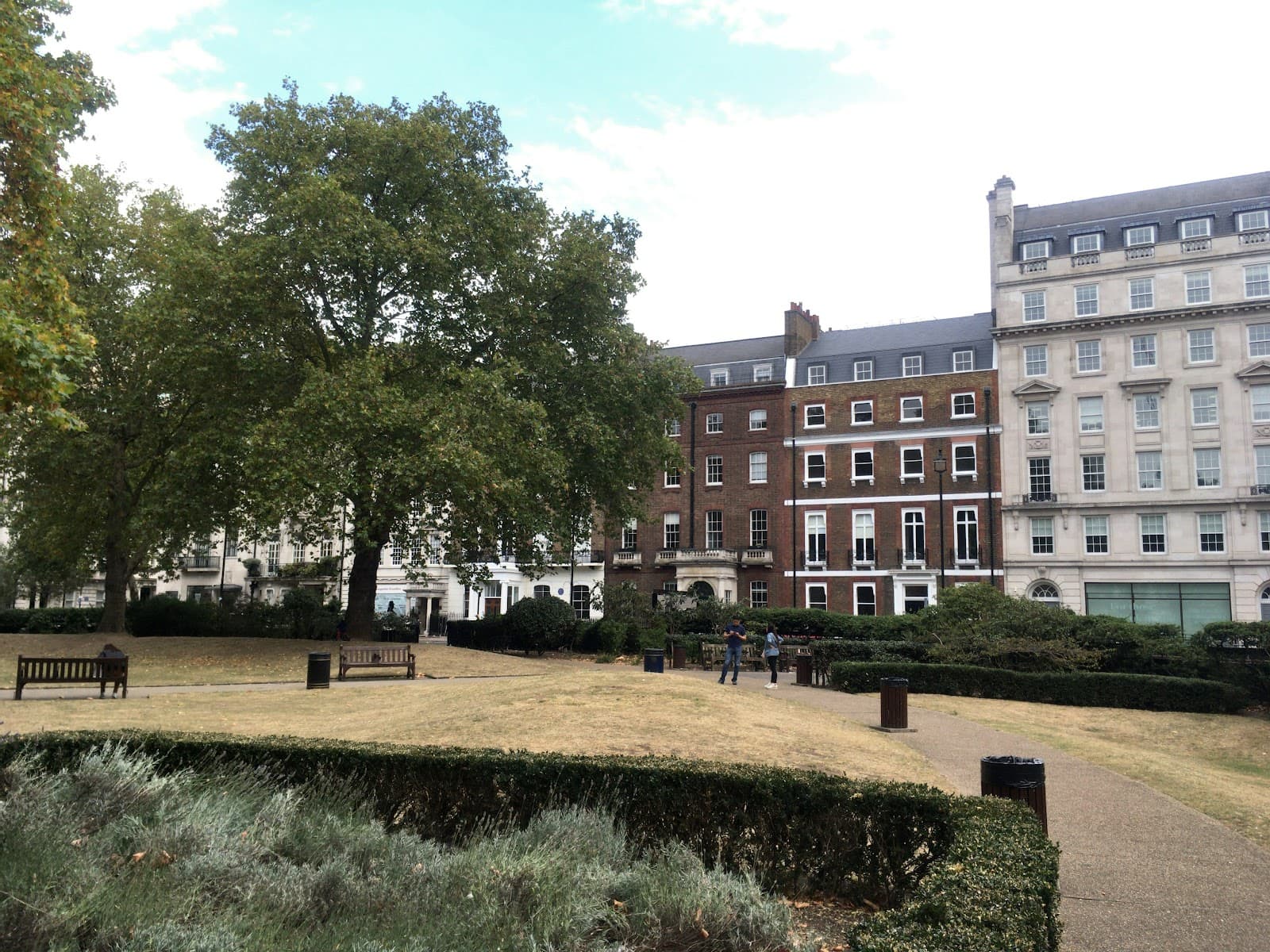 Cavendish Square Gardens