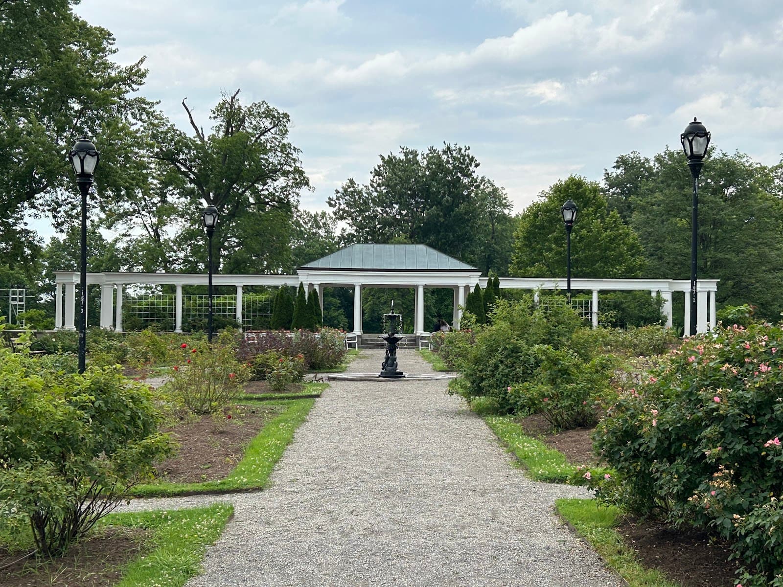 Delaware Park Rose Garden