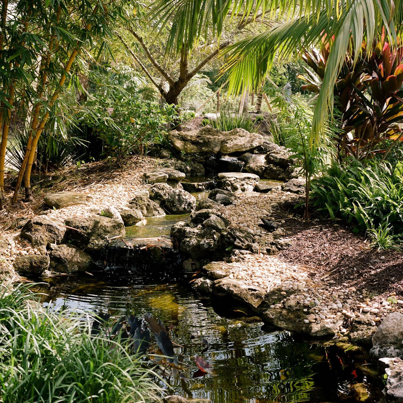 Paradise Palms & Sculpture Gardens