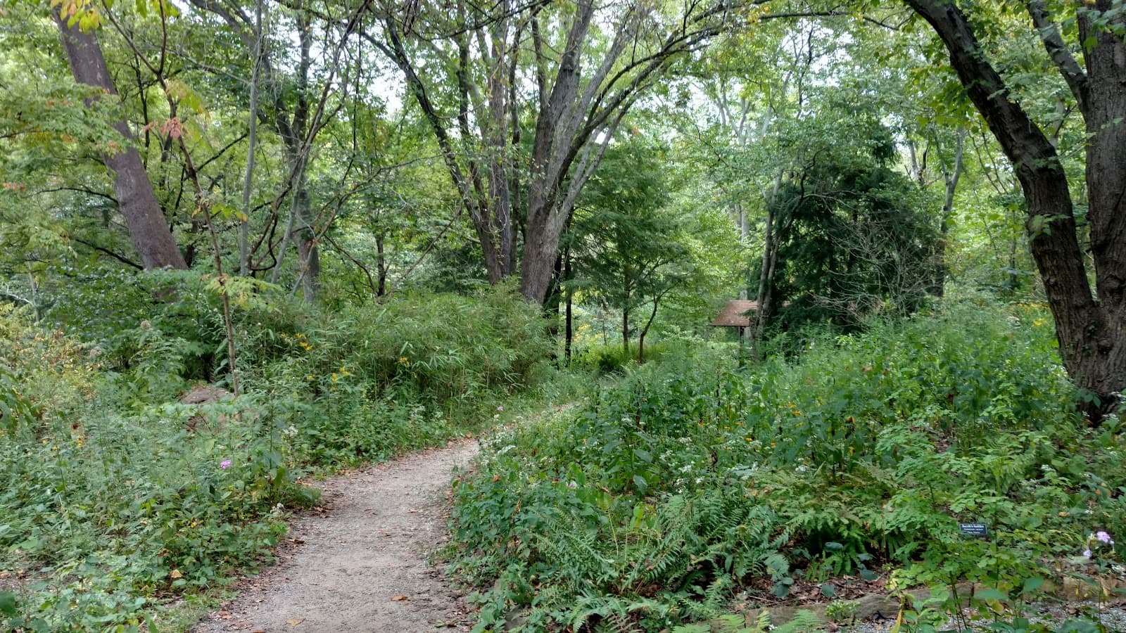 Public art in Asheville