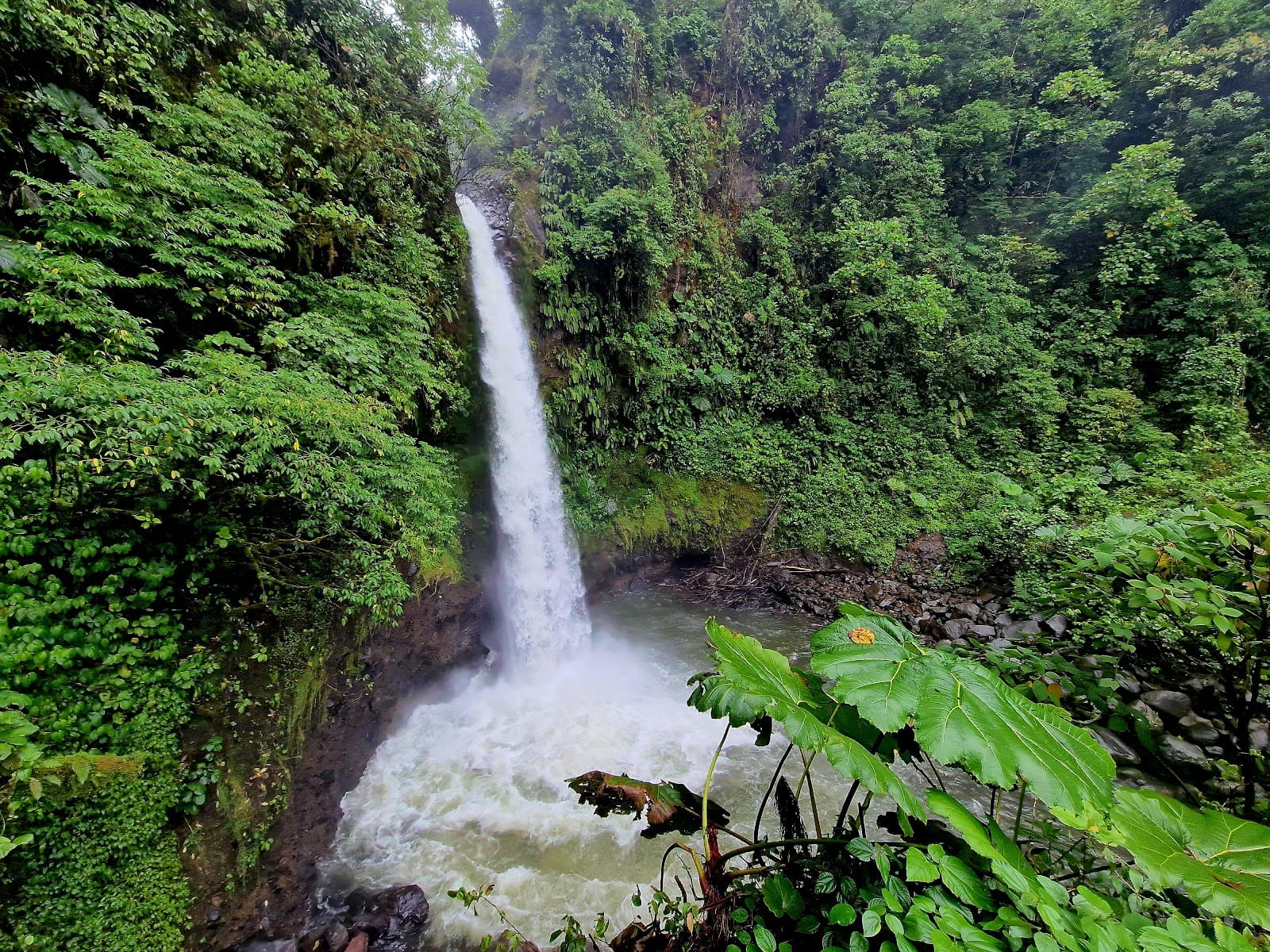 La Paz Waterfall Gardens Nature Park