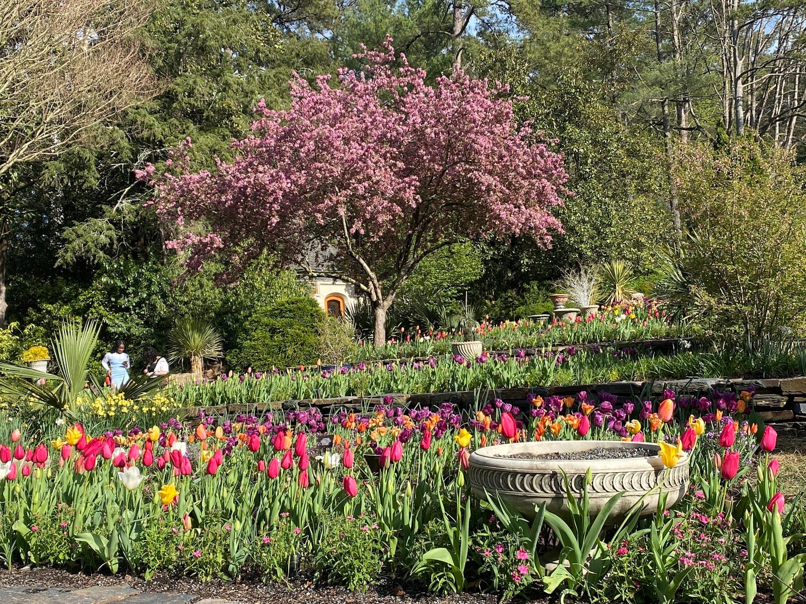 Sarah P. Duke Gardens