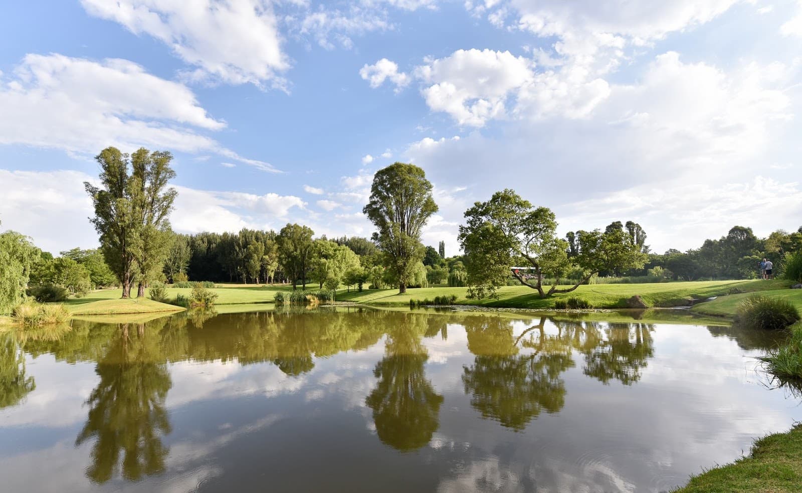 NIROX Sculpture Park