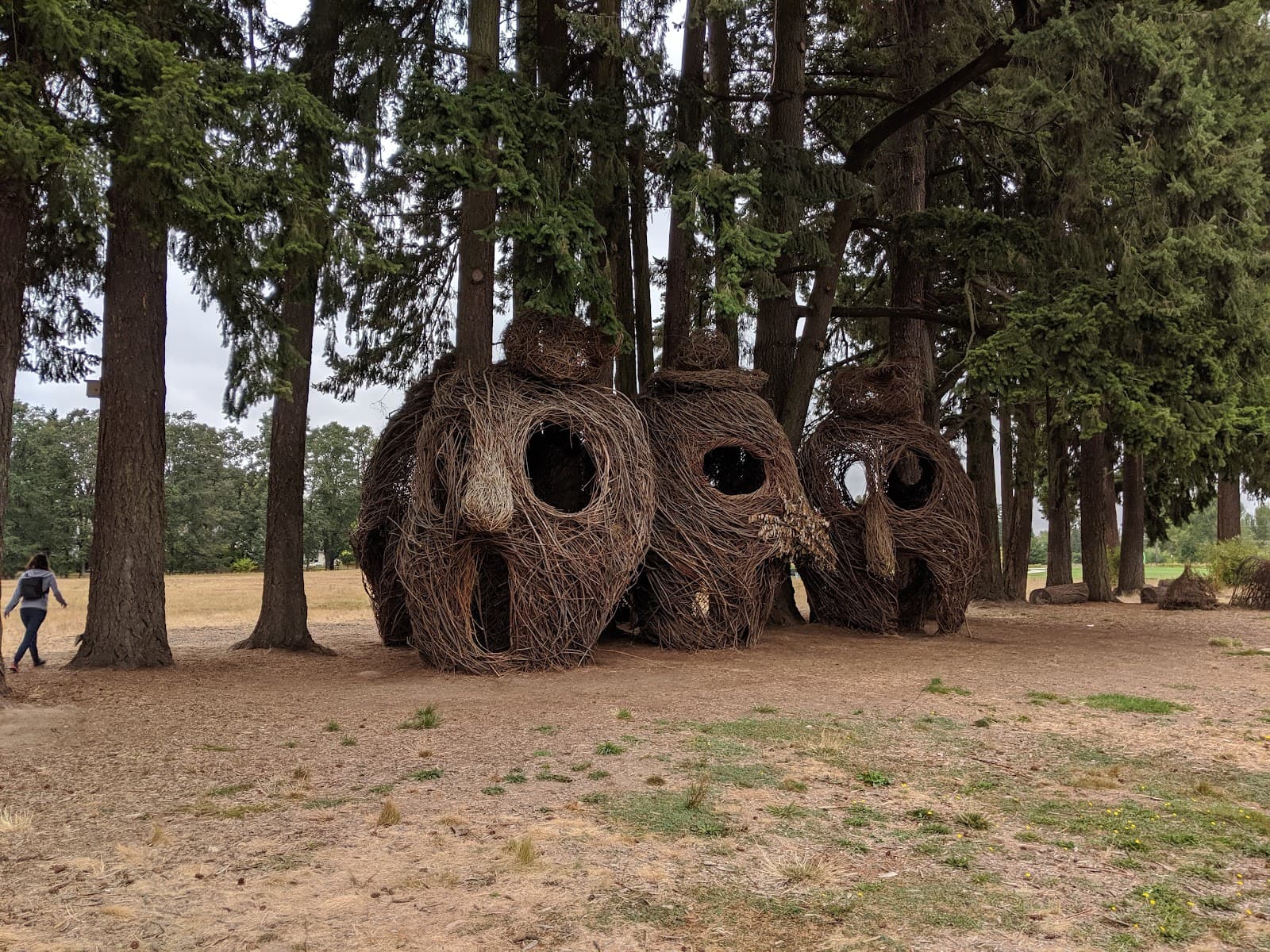 Orenco Woods Nature Park