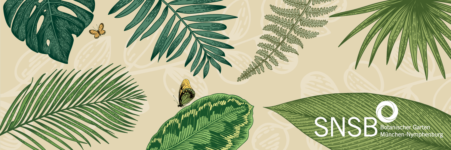 Botanical Garden Munich-Nymphenburg