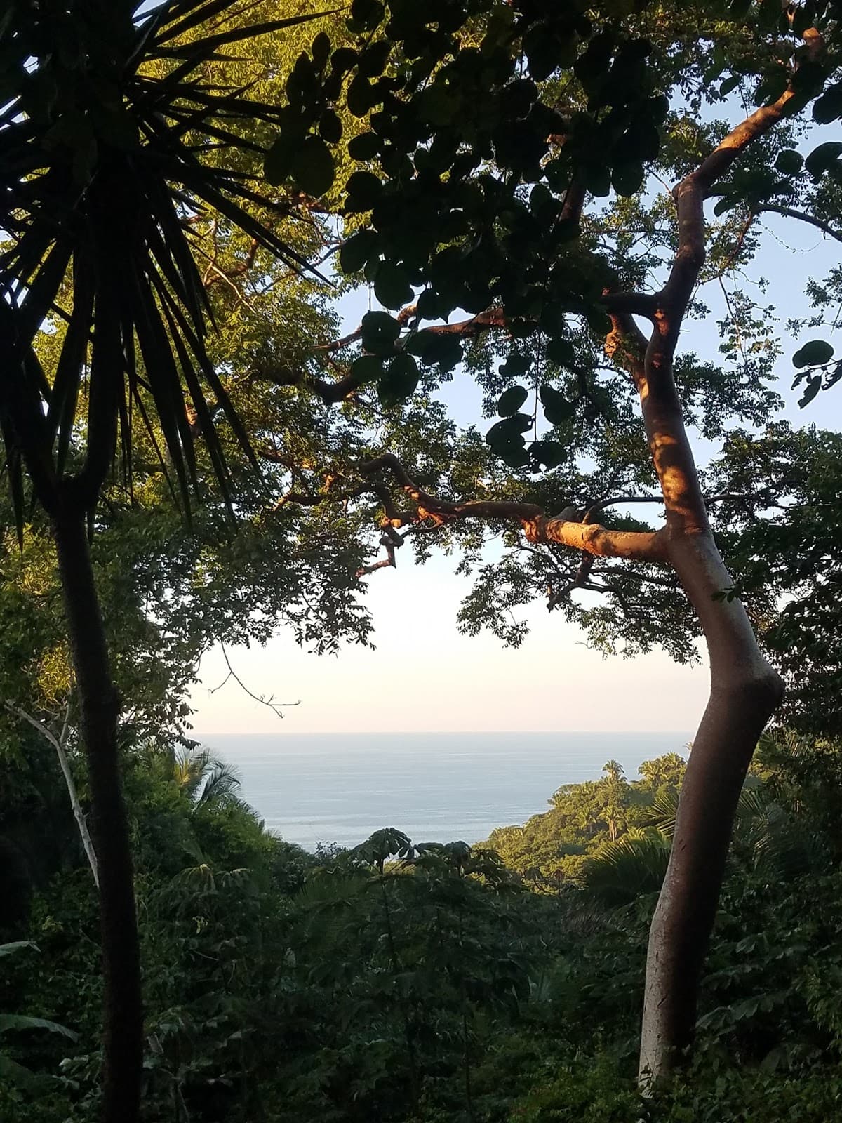 Lo de Perla Jungle garden tour