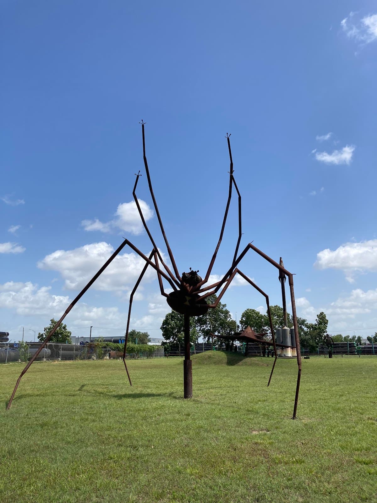 Eclectic Menagerie Park