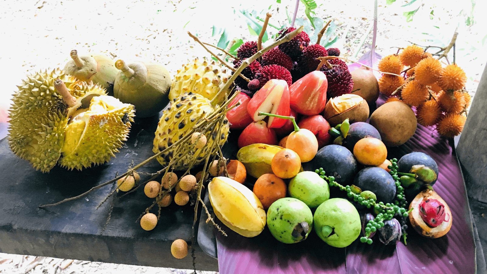 Finca la Isla Permaculture Farm, Plant Nursery and Botanical Garden