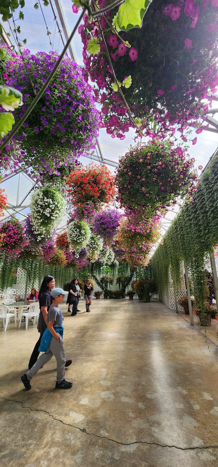 Glacier Gardens/Yard Doctor