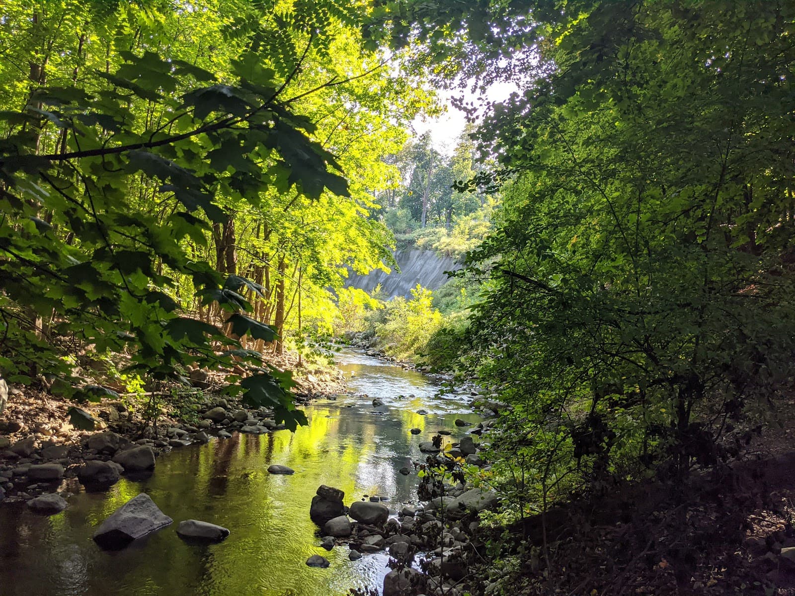Creekside Sculpture Trail