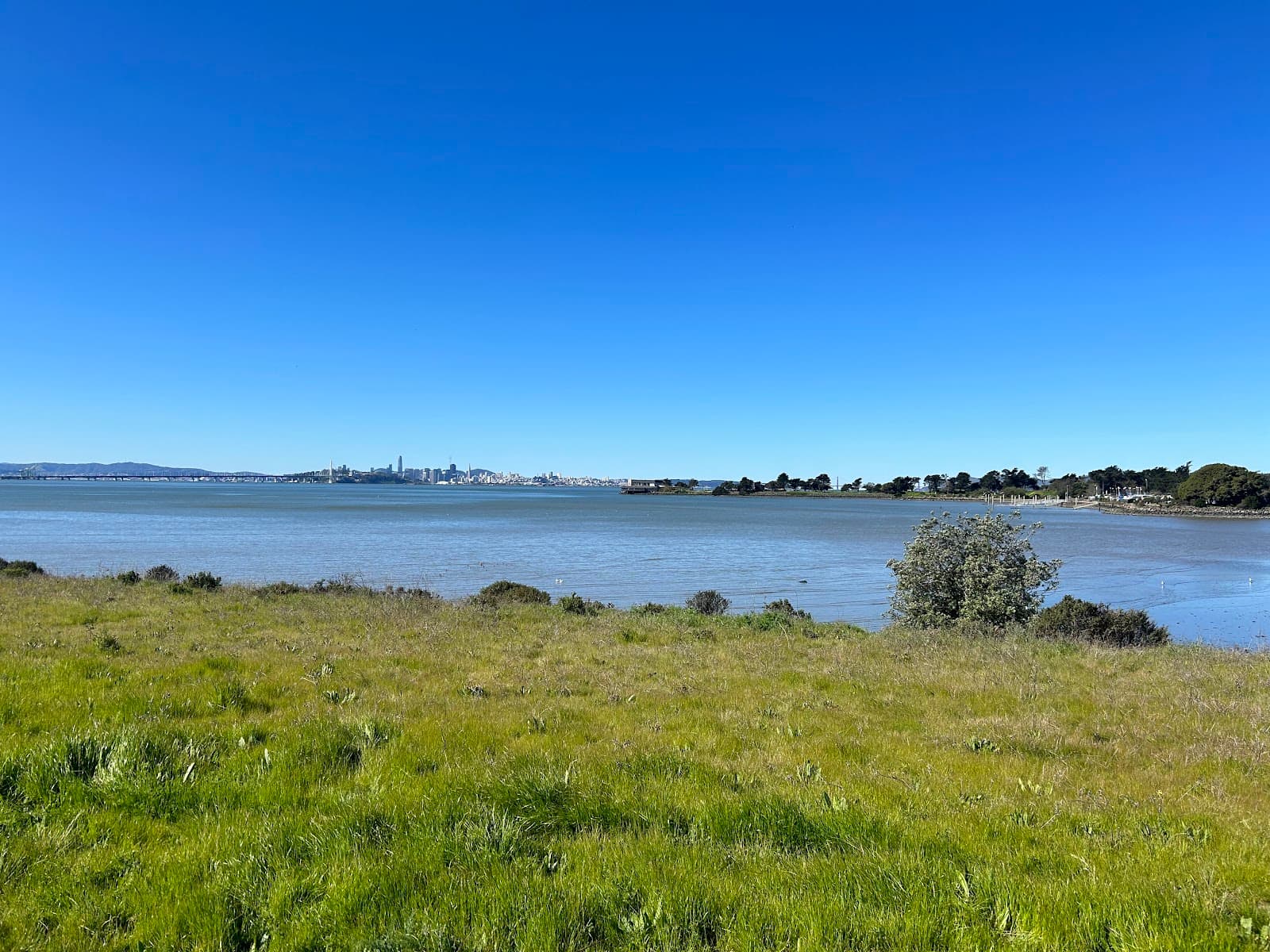 McLaughlin Eastshore State Park State Seashore