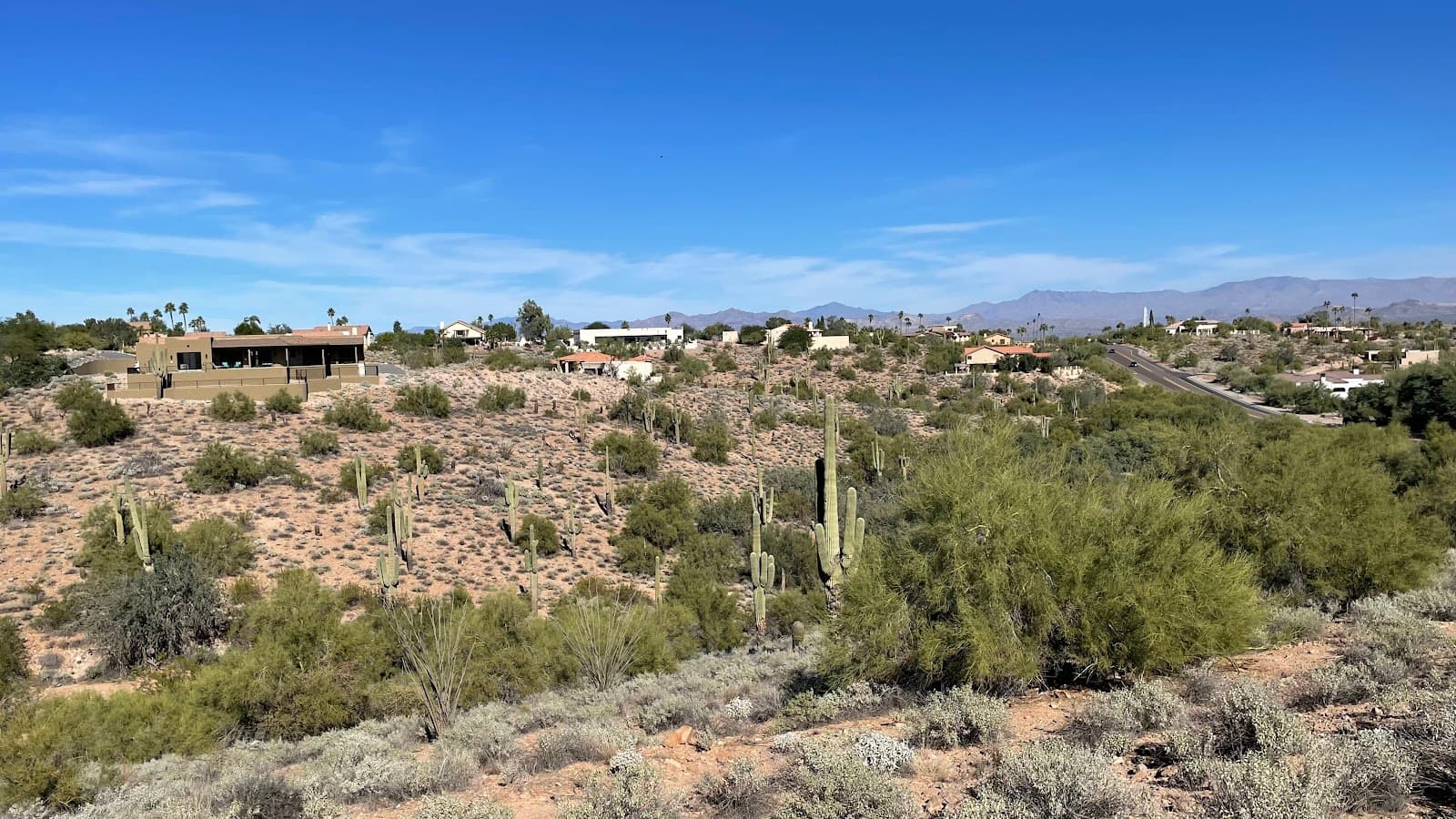 Fountain Hills Desert Botanical Garden