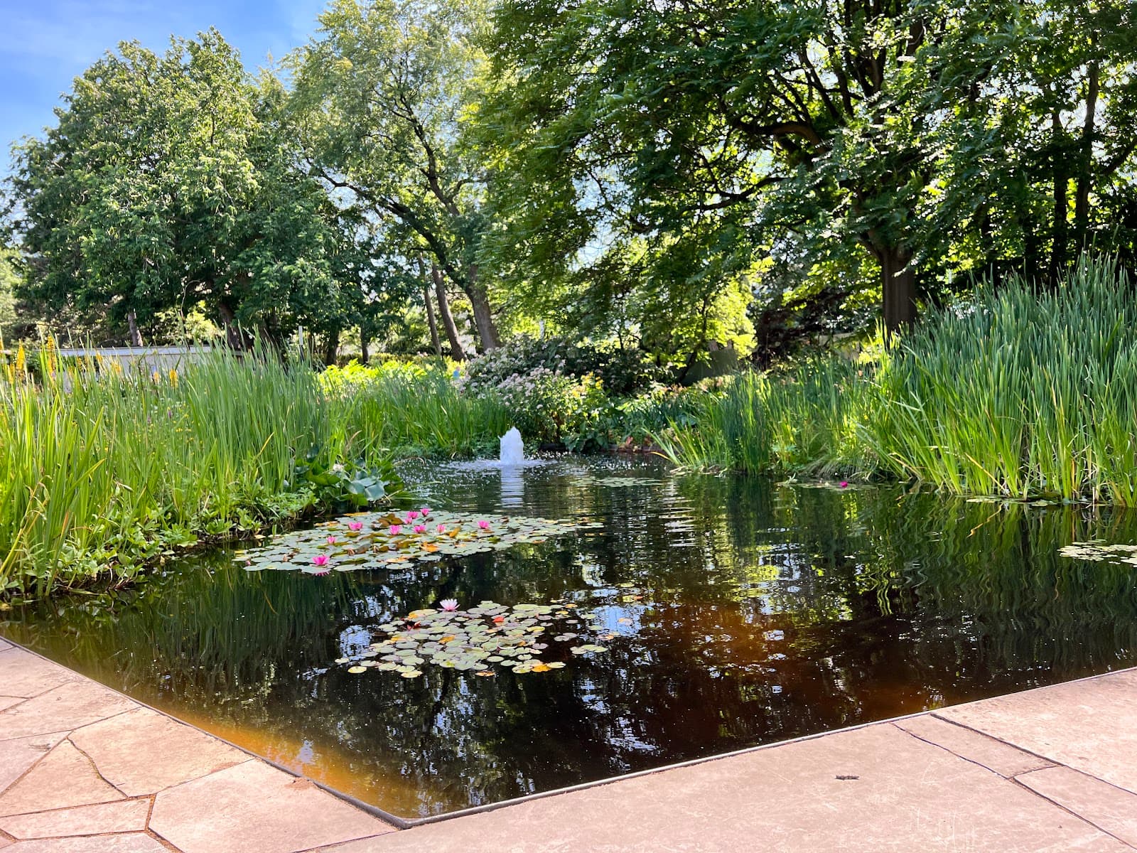 Old Botanical Garden