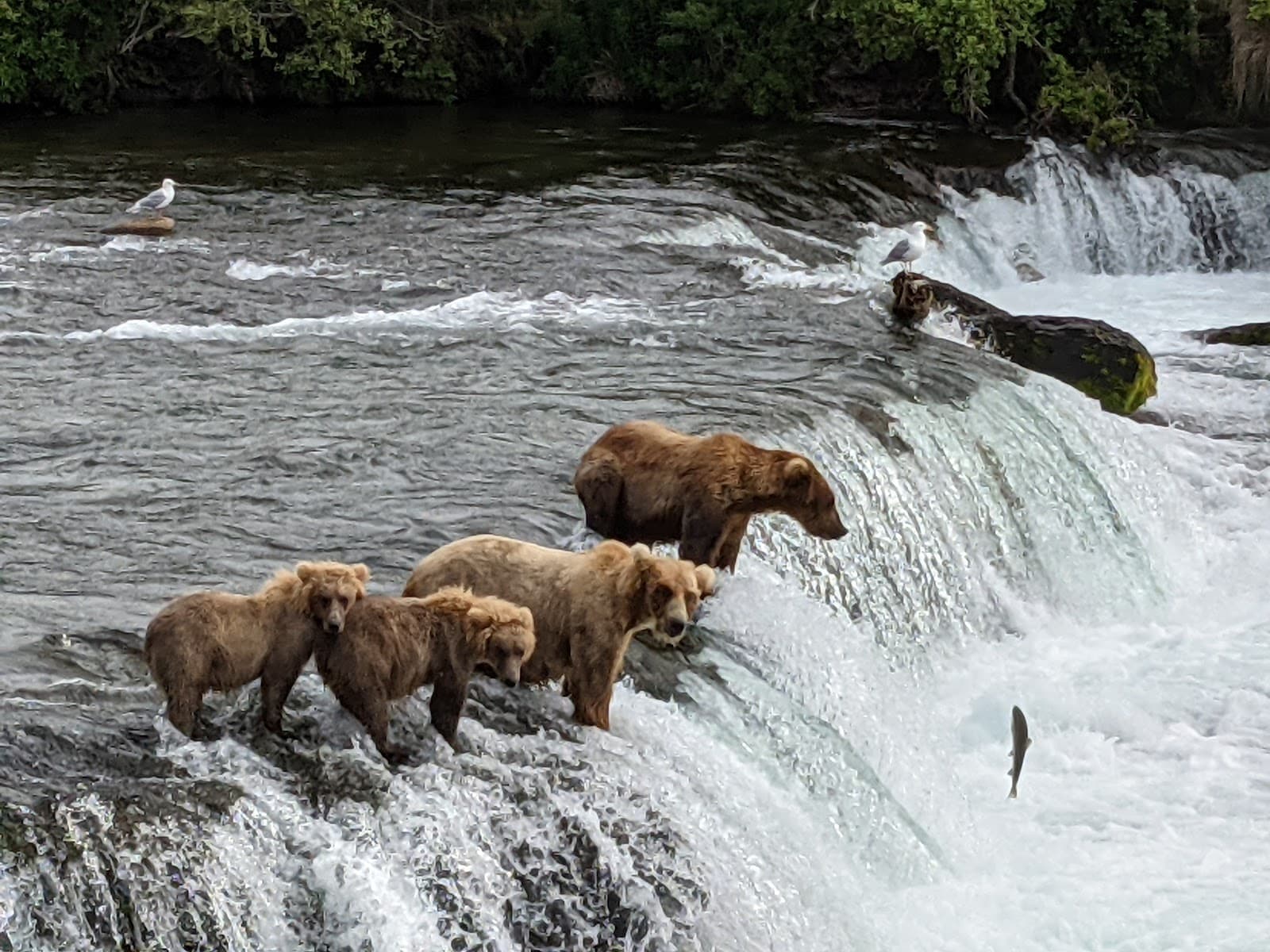 Katmai National Park and Preserve