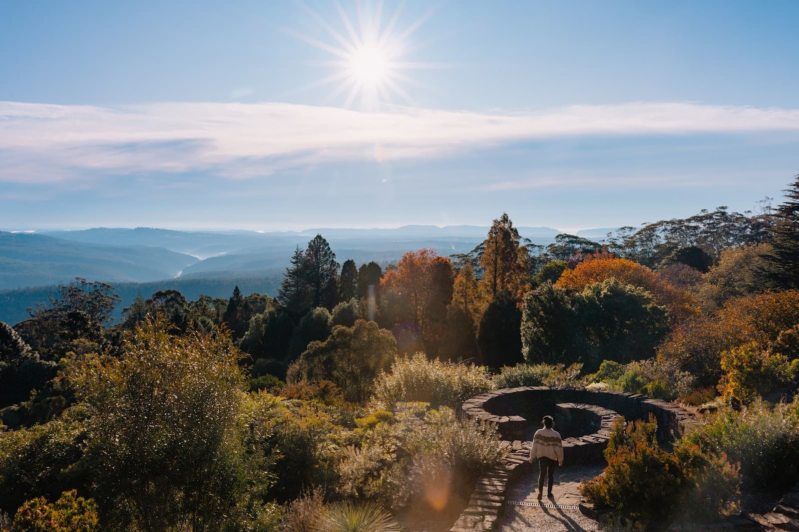 Blue Mountains Botanic Garden Mount Tomah