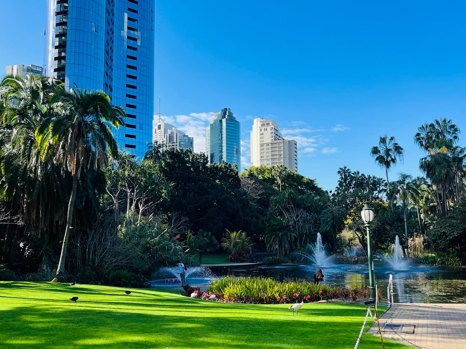 City Botanic Gardens