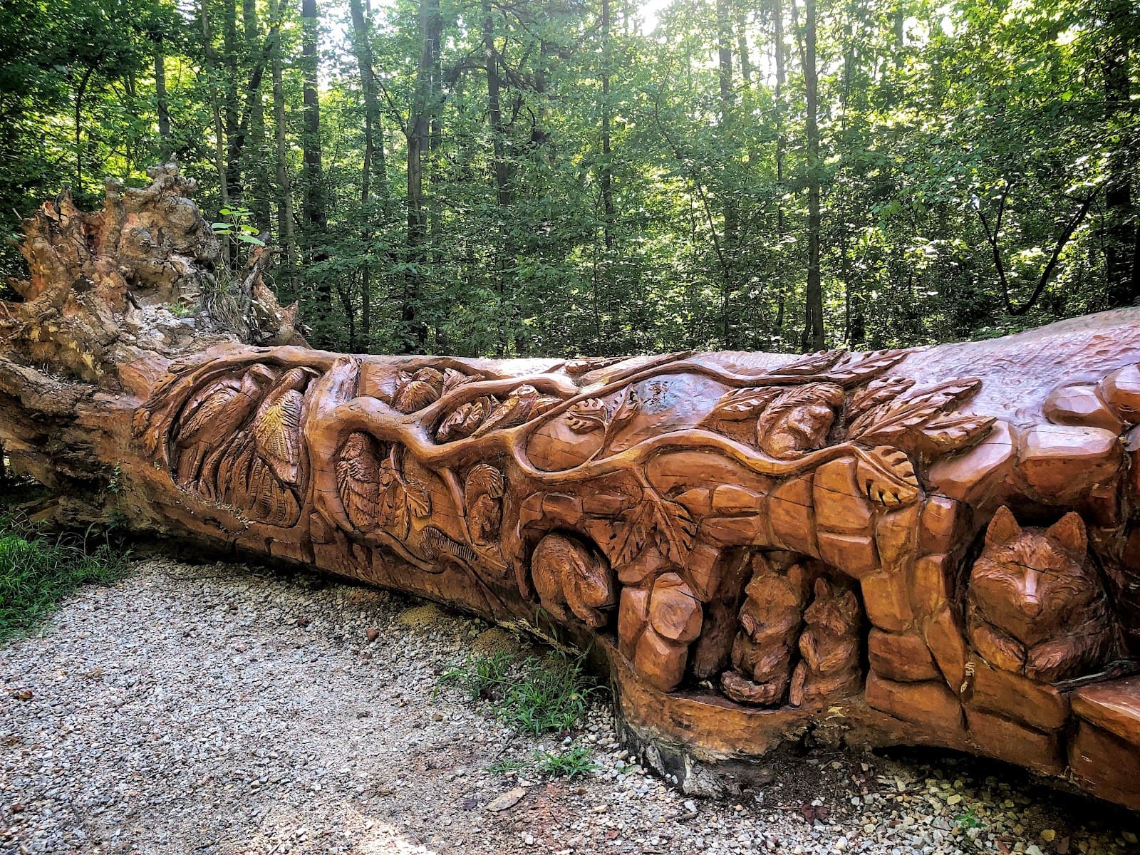 William B. Umstead State Park